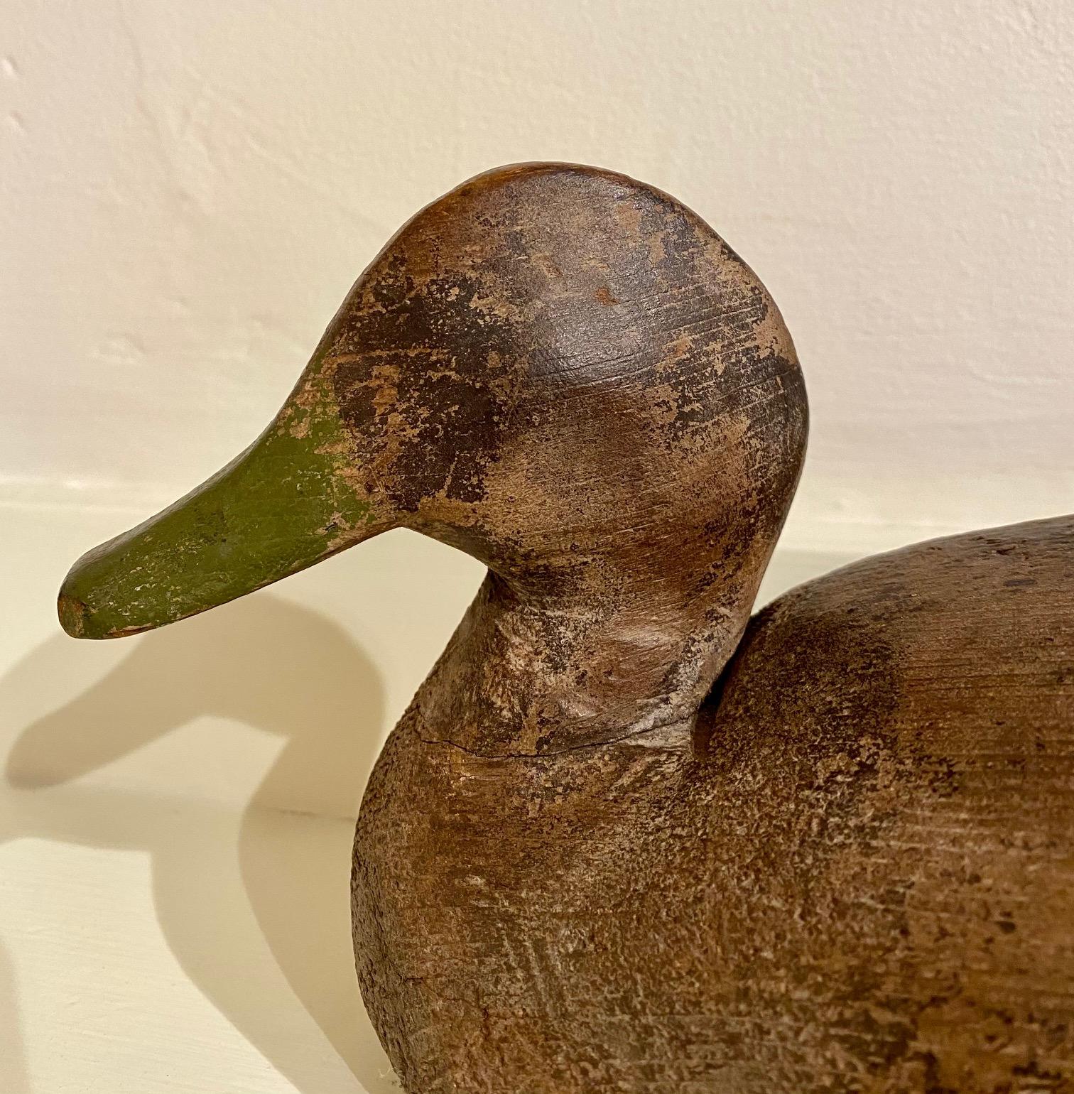 Antique Ward Brothers Widgeon Decoy, Early Period, circa 1920, having a hand whittled solid body in sloping posture, with set at distinct angle to the left, and high mounted thick paddle tail, in very worn original paint. The posture and angle of