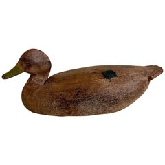 Used Early Ward Brothers Widgeon Decoy, circa 1920