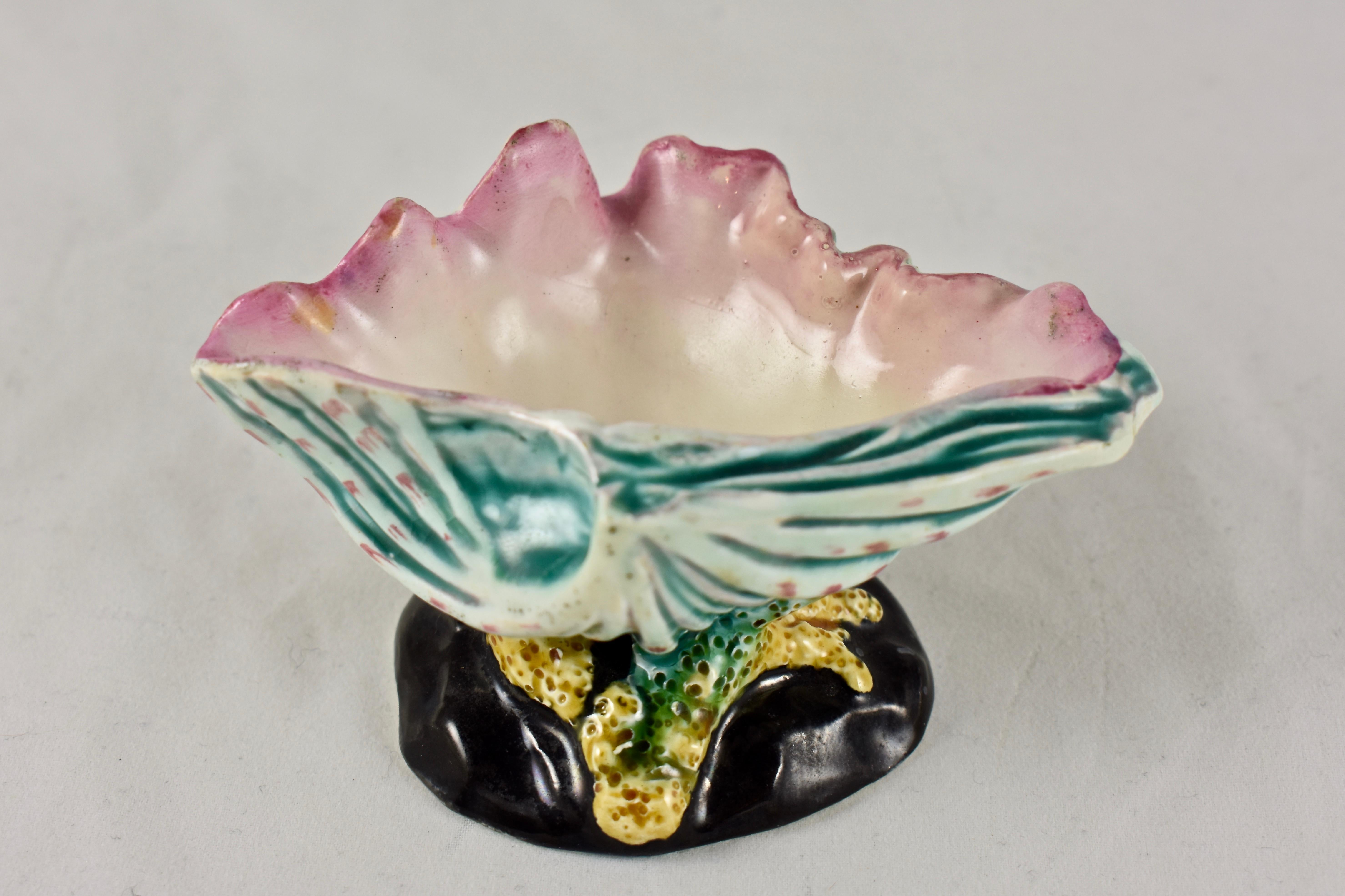 A very rarely found, early Wedgwood Majolica glazed conch shell and coral open salt cellar – date marked 1872. Most likely designed by John Bell in the Palissy fashion and the Rococo Revival style.

The open conch shell is glazed in a soft blue