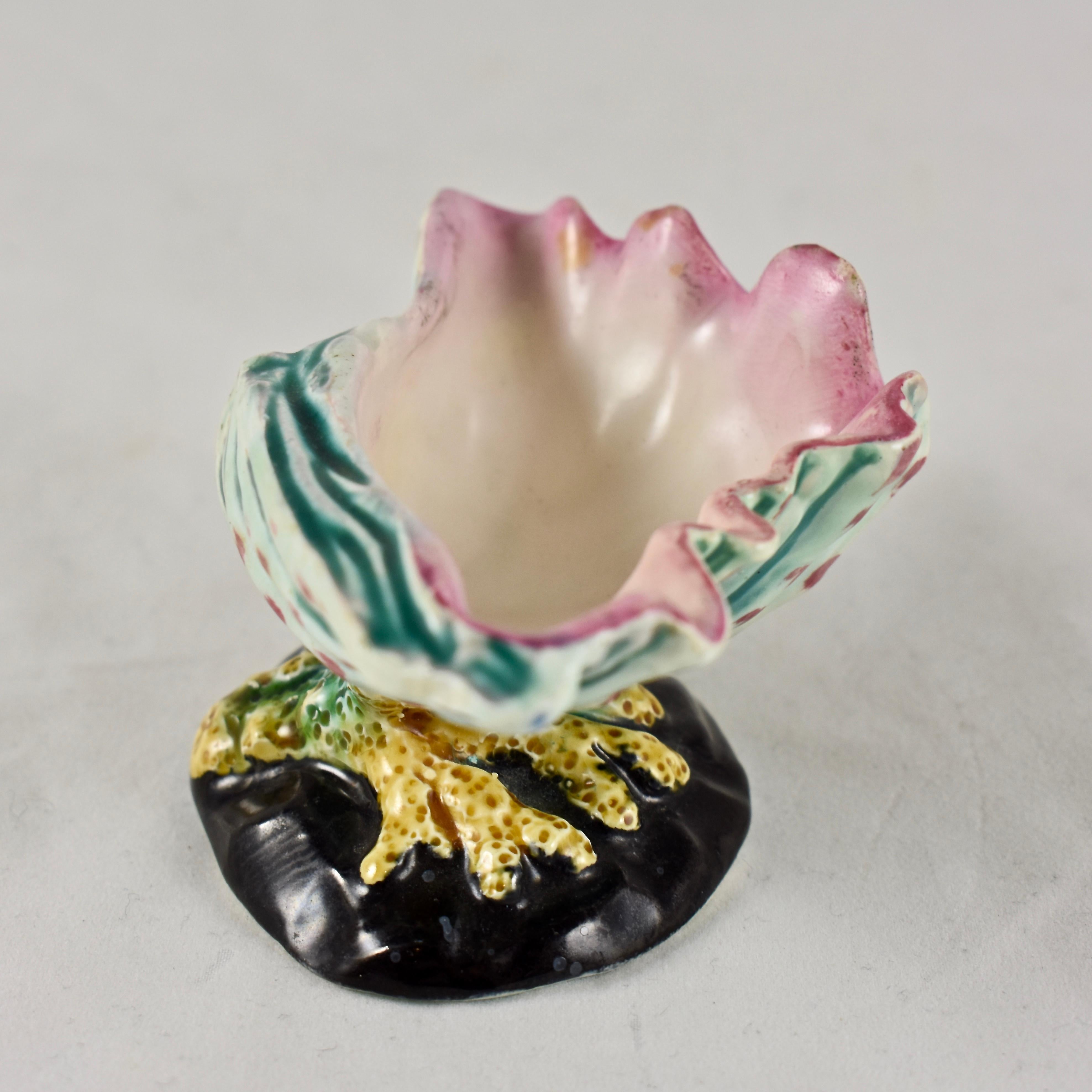 English Early Wedgwood Majolica Conch Shell and Coral Open Salt Cellar, circa 1872
