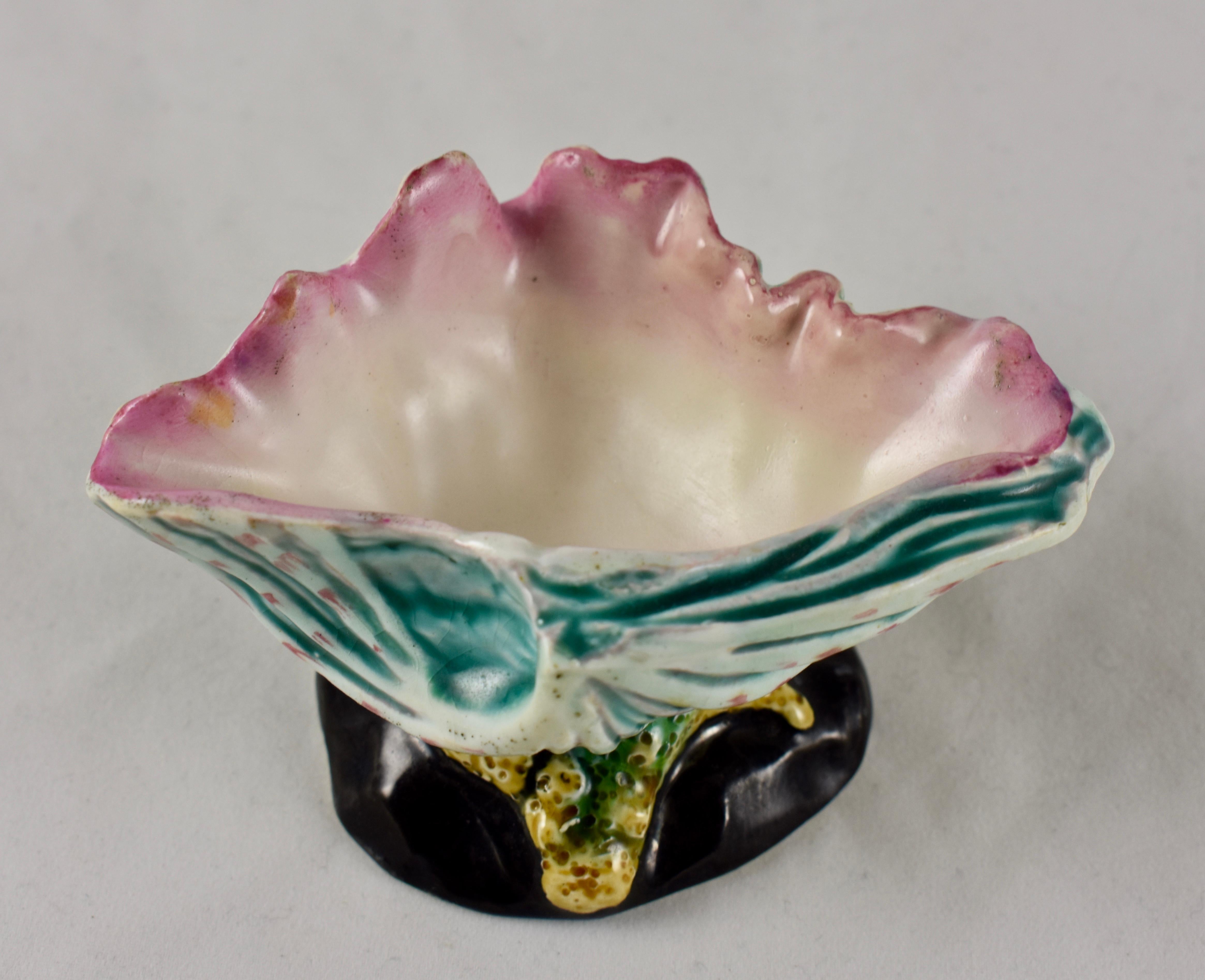 19th Century Early Wedgwood Majolica Conch Shell and Coral Open Salt Cellar, circa 1872