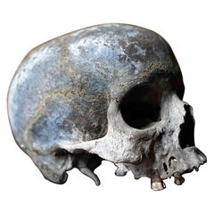 Early & Well Patinated Relic Human Skull, Pre, c.1800