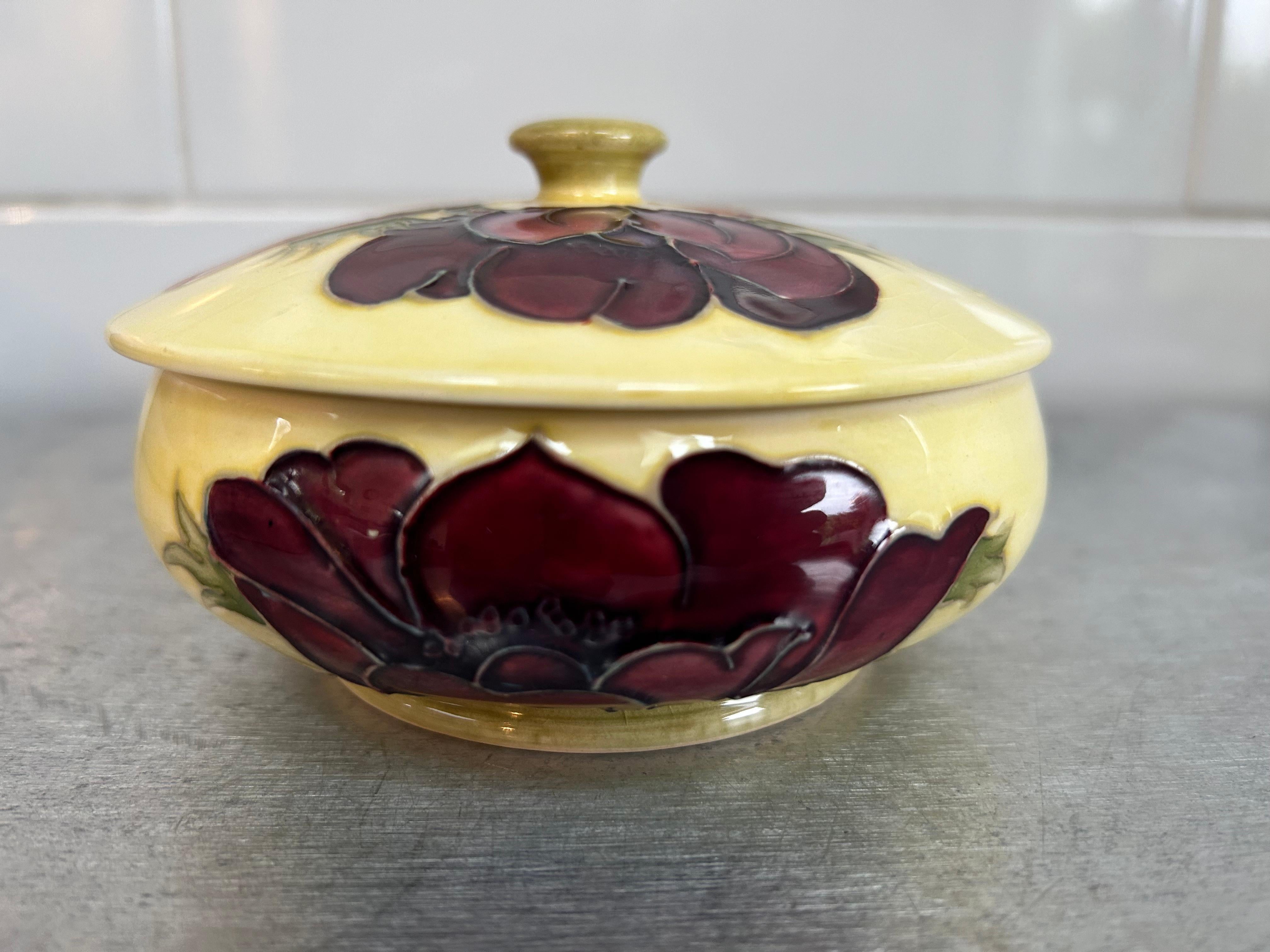 Vaso con coperchio Moorcroft Anemone da 5 pollici splendidamente decorato.  Questa cassettiera, con coperchio coperto, presenta il motivo dell'anemone su uno sfondo color crema. Il coperchio e il piatto sono entrambi rassicurantemente firmati e