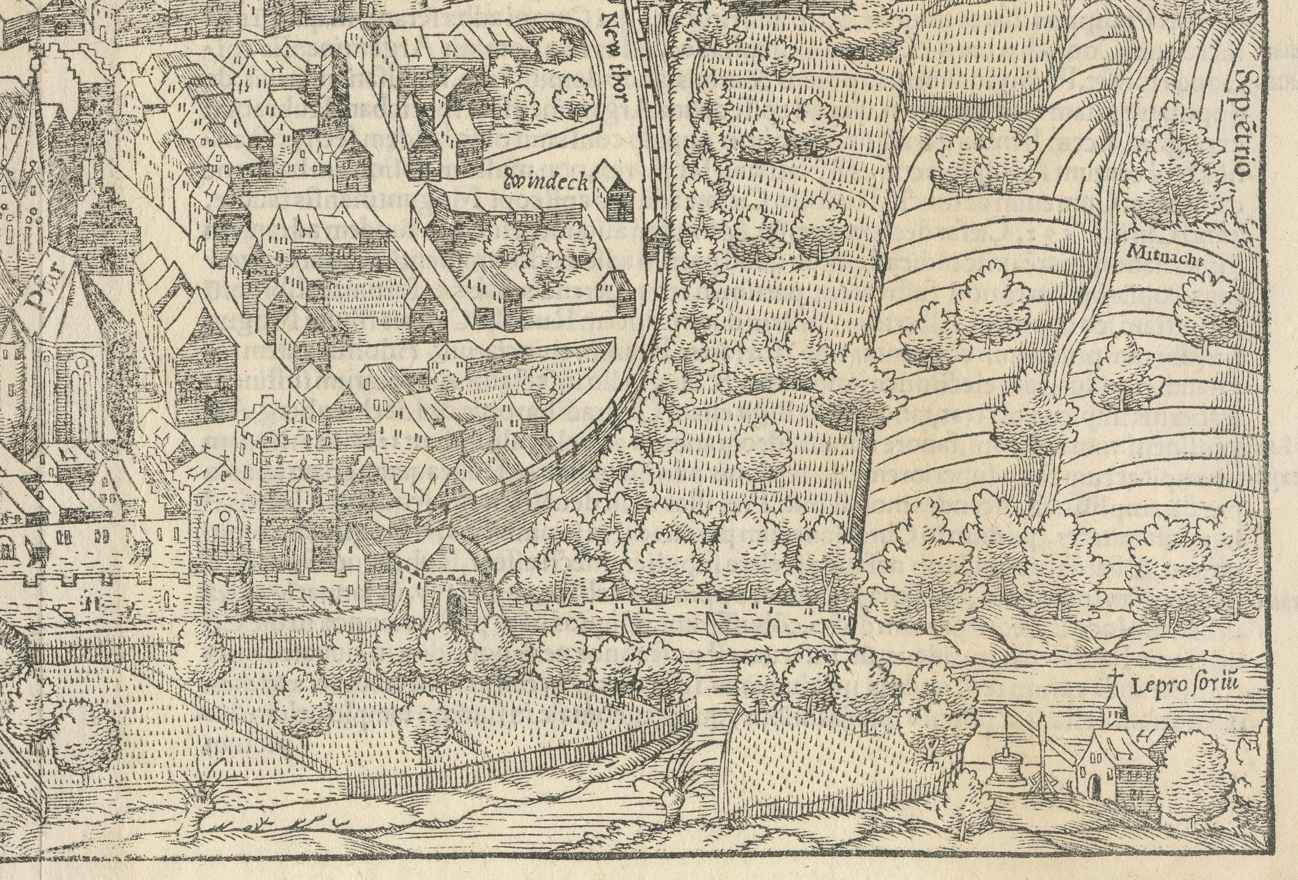 Inciso No Early Birds View of Rouffach, Francia, di Sebastian Münster, 1554 in vendita