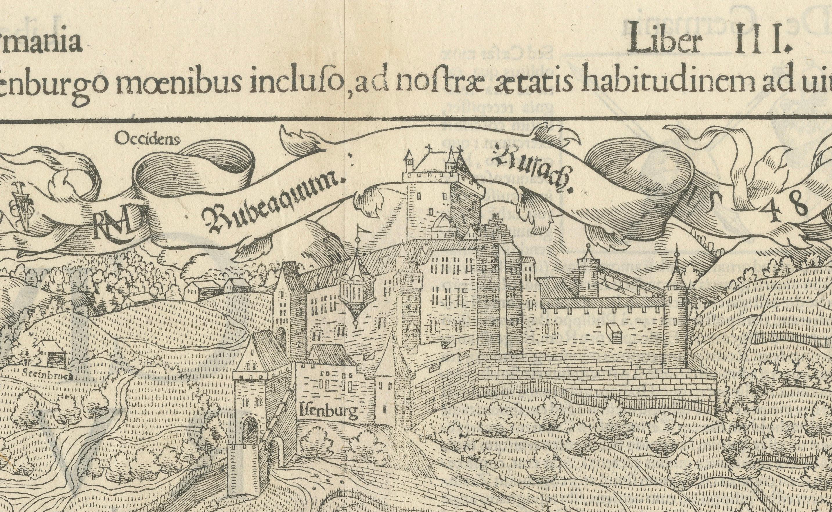 Fino al XVIII secolo No Early Birds View of Rouffach, Francia, di Sebastian Münster, 1554 in vendita