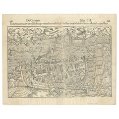 Early Woodcut Bird's Eye View of Rouffach, France, by Sebastian Münster, 1554