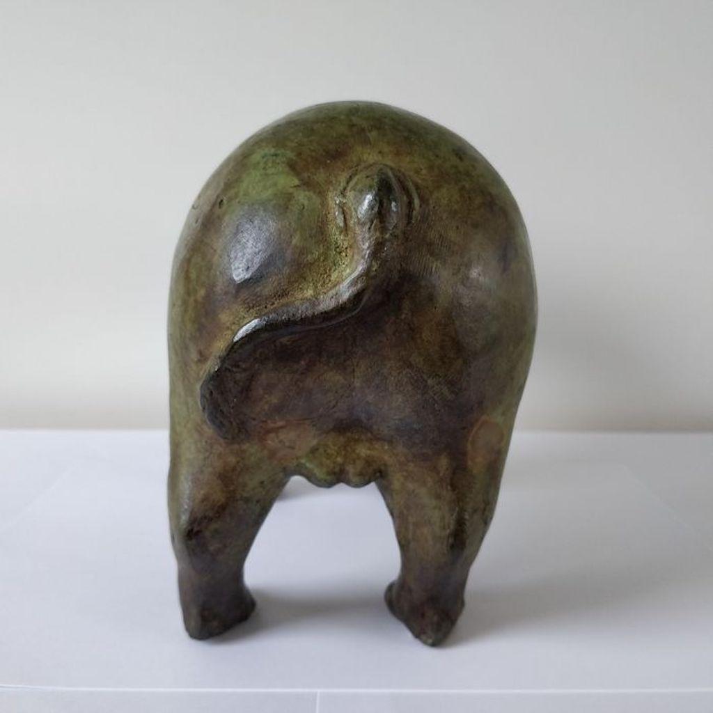 Early 20th Century Bronze Animalier Sculpture Representing a Rhino 8