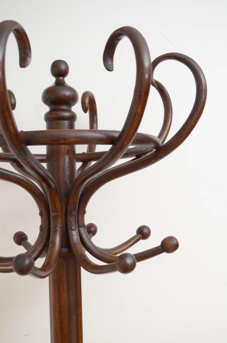 Early XXth Century Bentwood Coat Stand For Sale at 1stDibs