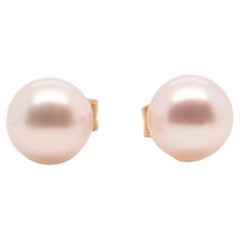 Ohrring Akoya Perle Gelbgold 18 Karat