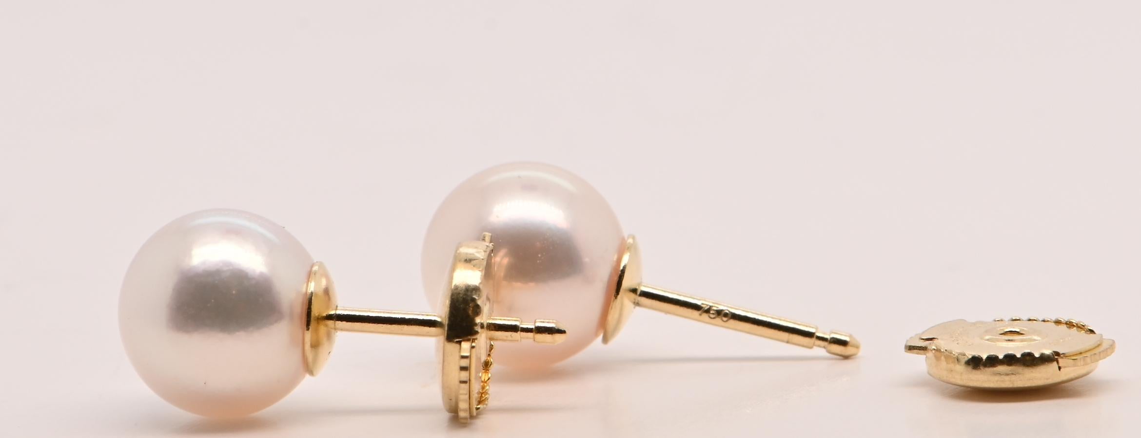 Women's or Men's Earring Akoya Pearl Yellow Gold 18 Carats For Sale