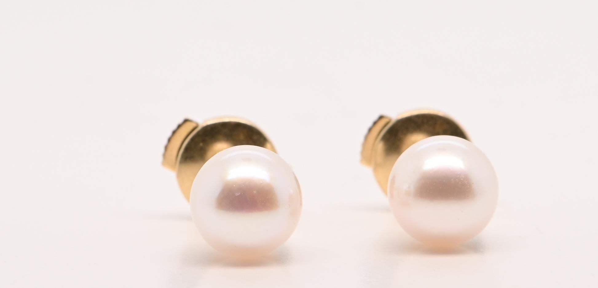 Women's or Men's Earring Akoya Pearl Yellow Gold 18 Carats For Sale