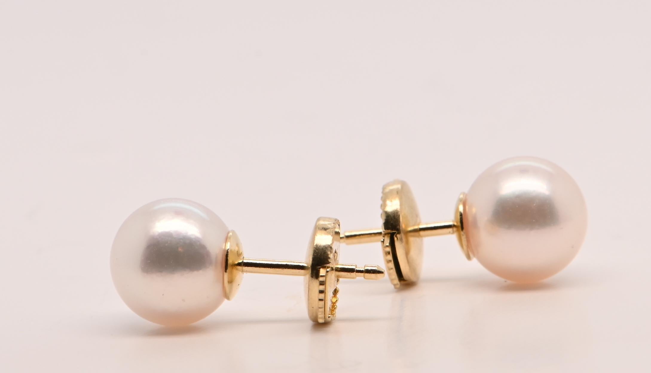 Earring Akoya Pearl Yellow Gold 18 Carats For Sale 1