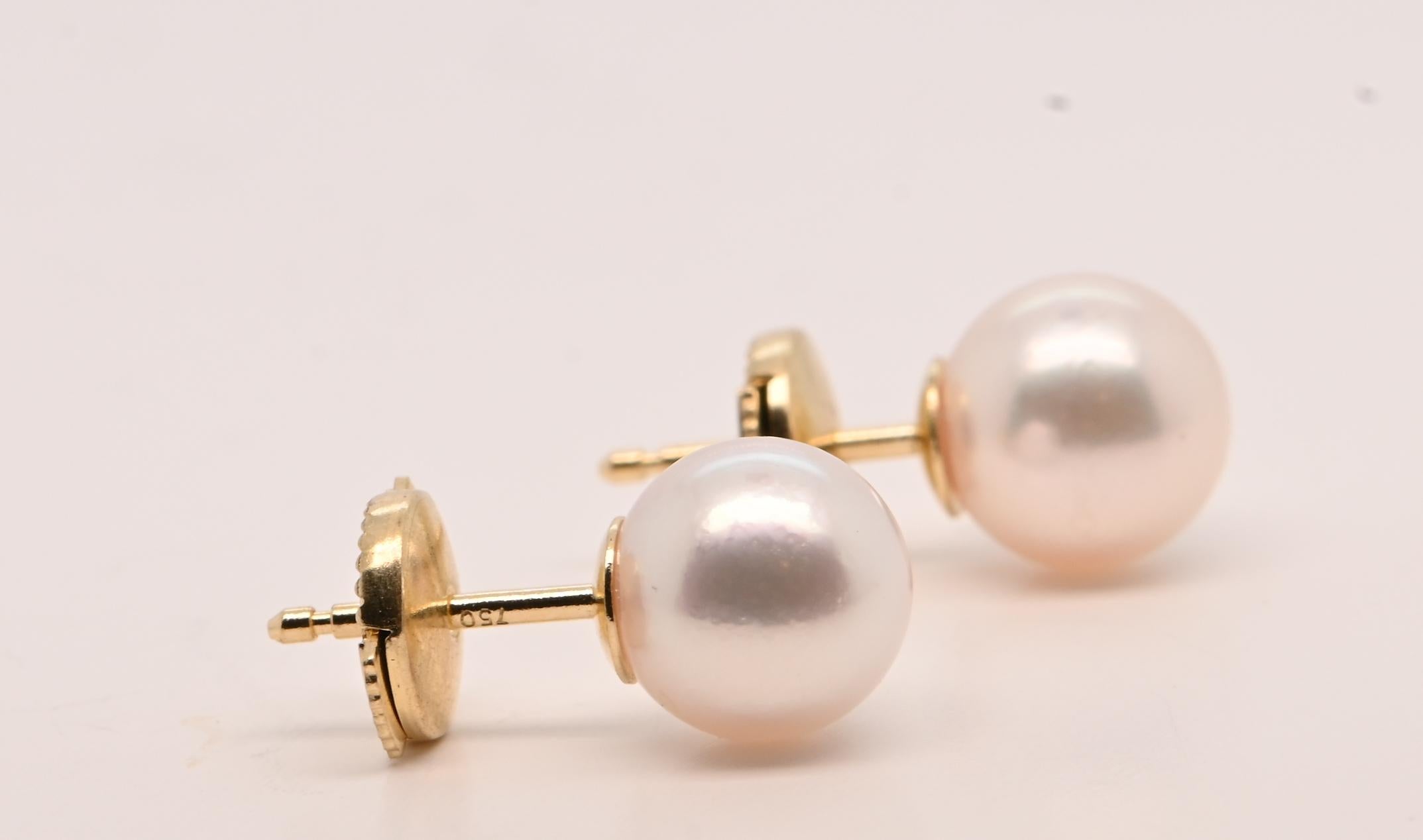 Earring Akoya Pearl Yellow Gold 18 Carats For Sale 3