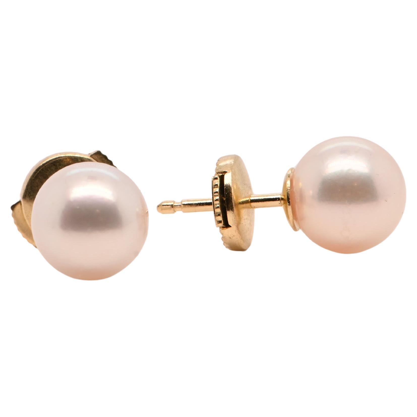 Earring Akoya Pearl Yellow Gold 18 Carats