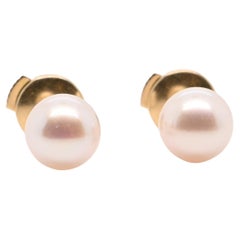 Earring Akoya Pearl Yellow Gold 18 Carats