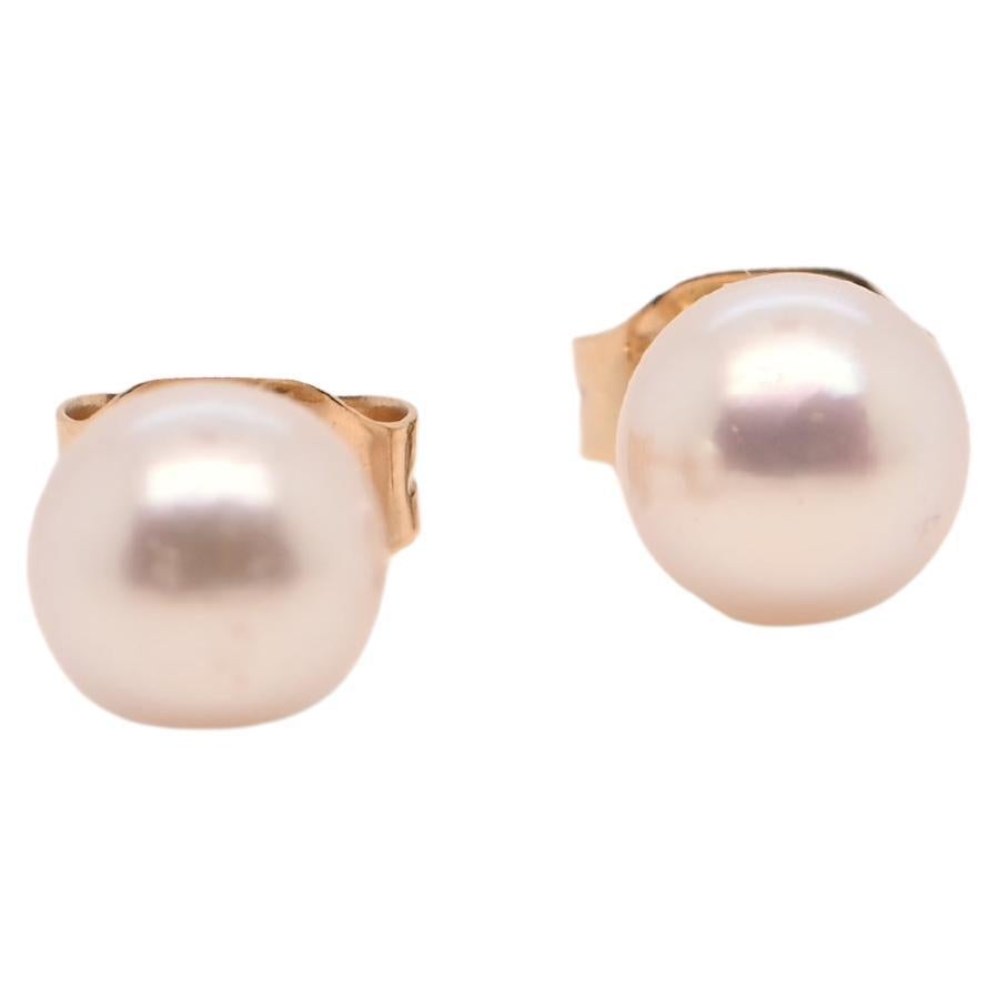 Earrings Akoya Pearls Yellow Gold 18 Carats 

Discover this stunning pair of 18K yellow gold earrings, adorned with two exceptional Akoya pearls measuring between 5.5 and 6 mm. These timeless pieces combine classic elegance with modern