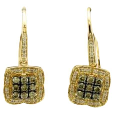 Earrings featuring Chocolate & Vanilla Diamonds set in 14K Honey Gold For Sale