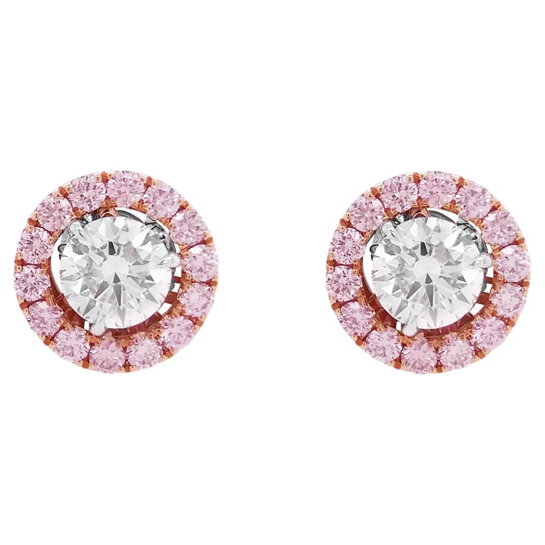 Argyle diamond earrings best sale