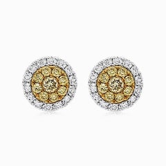 Earrings with Rare Natural Yellow Diamonds & White Diamonds