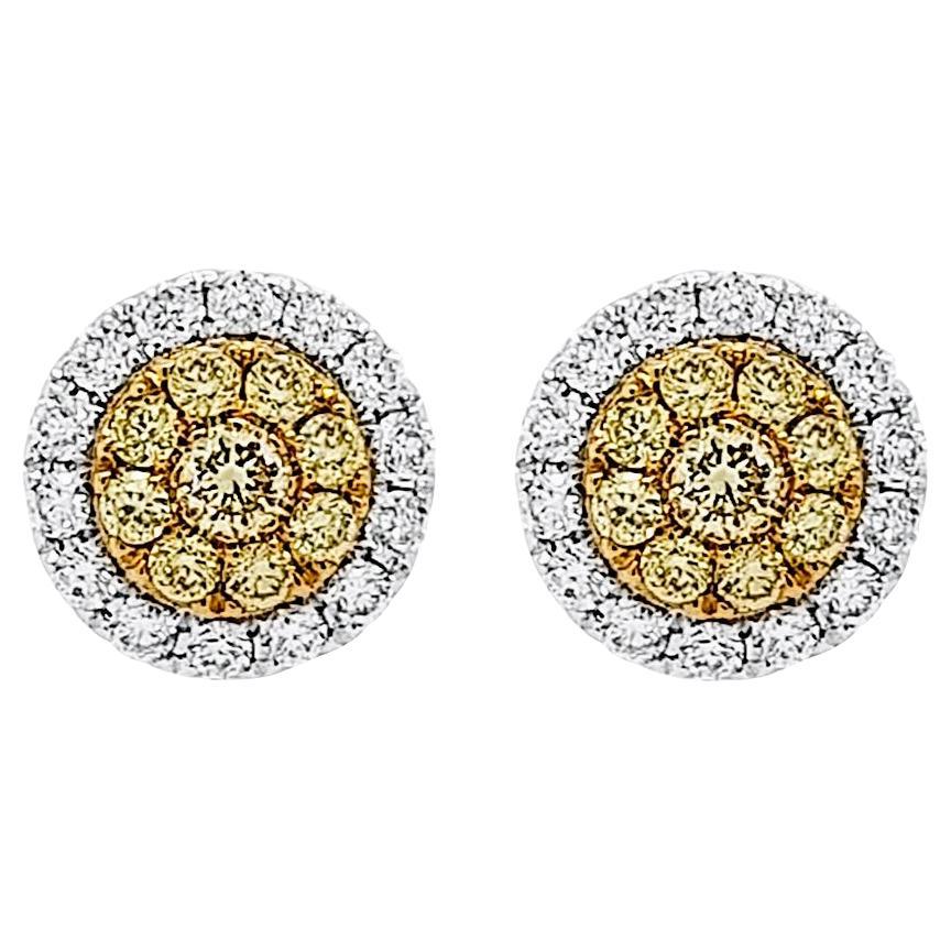 Pendientes con Raros Diamantes Amarillos Naturales y Diamantes Blancos en venta