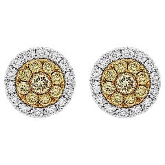 Orecchini con rari diamanti gialli Nature e diamanti bianchi