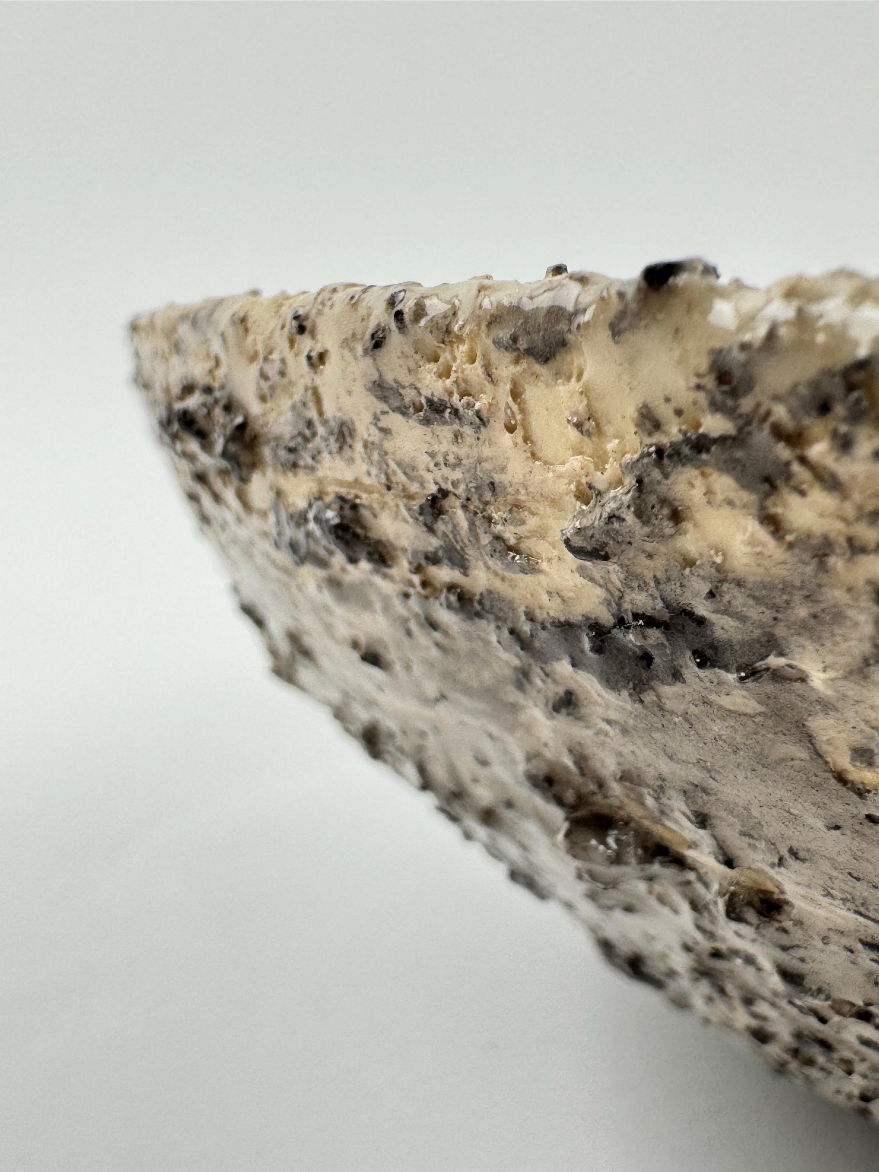 This is not just a bowl. It’s a museum-quality, one-of-a-kind sculptural object crafted for collectors, investors, interior designers, and tastemakers who demand authenticity, sustainability, and digital traceability in every acquisition.

Made