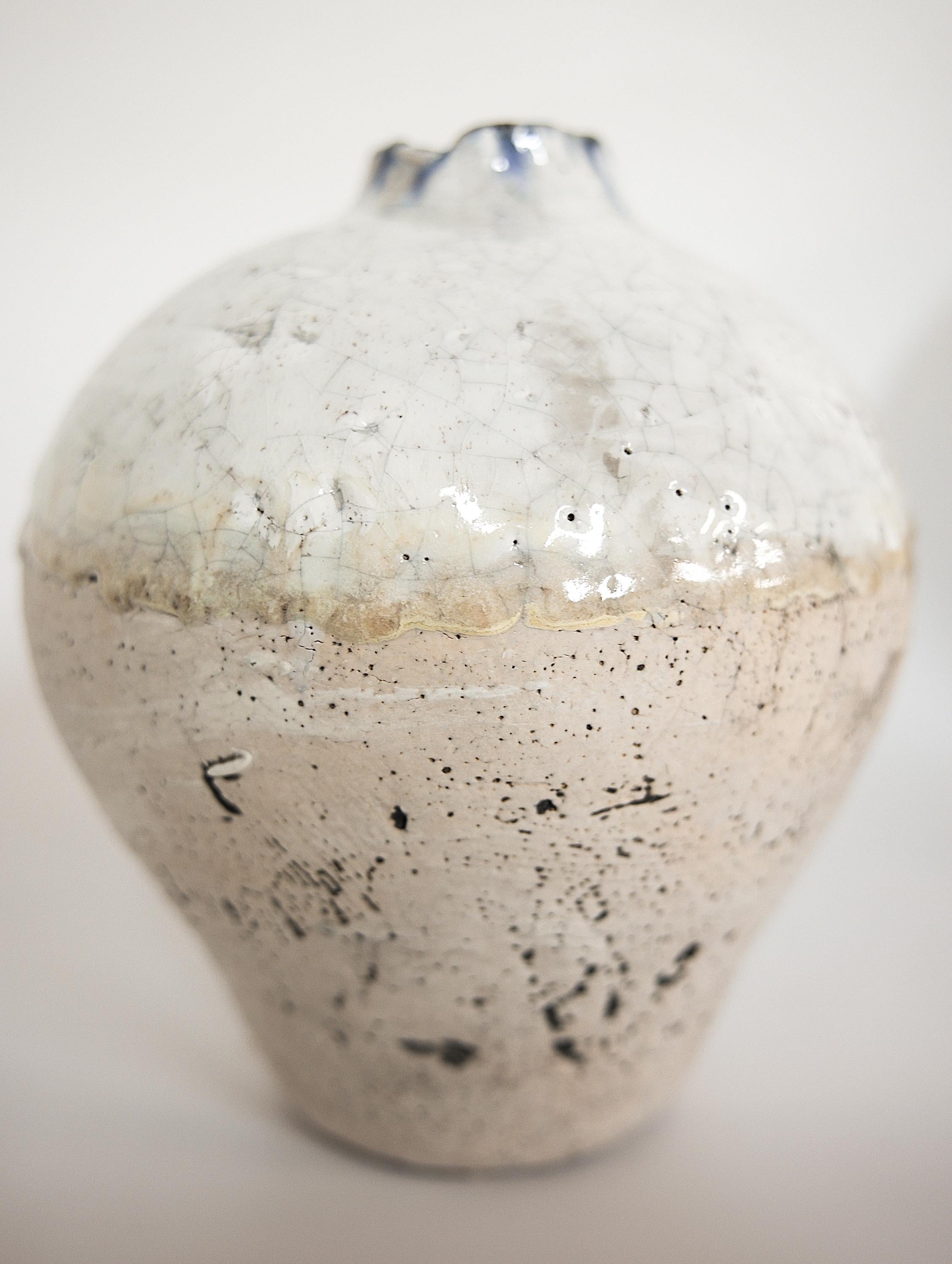 American Earth  Series Crackle Ginger Jars Vase II
