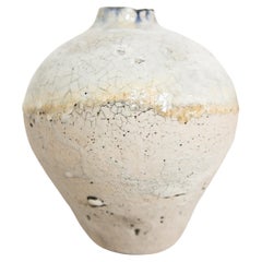 Earth  Series Crackle Ginger Jars Vase II