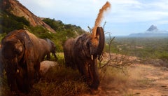 Earth to Sky: Among Africa's Elephants, a Species in Crisis by Michael Nichols
