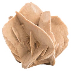 Earthenware Flower Desert Stone, circa 1950