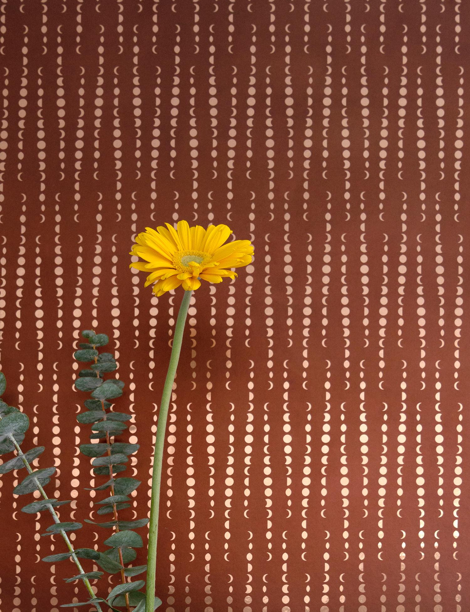 Dieses an Ikat erinnernde Muster hält den Mond in seinen wechselnden Formen im Gleichgewicht und spiegelt den Lauf der Zeit wider, wenn er auf- und untergeht und sich dreht. Gedruckt auf Metallic Typ II.

Hinweis: Dieses Produkt wird pro