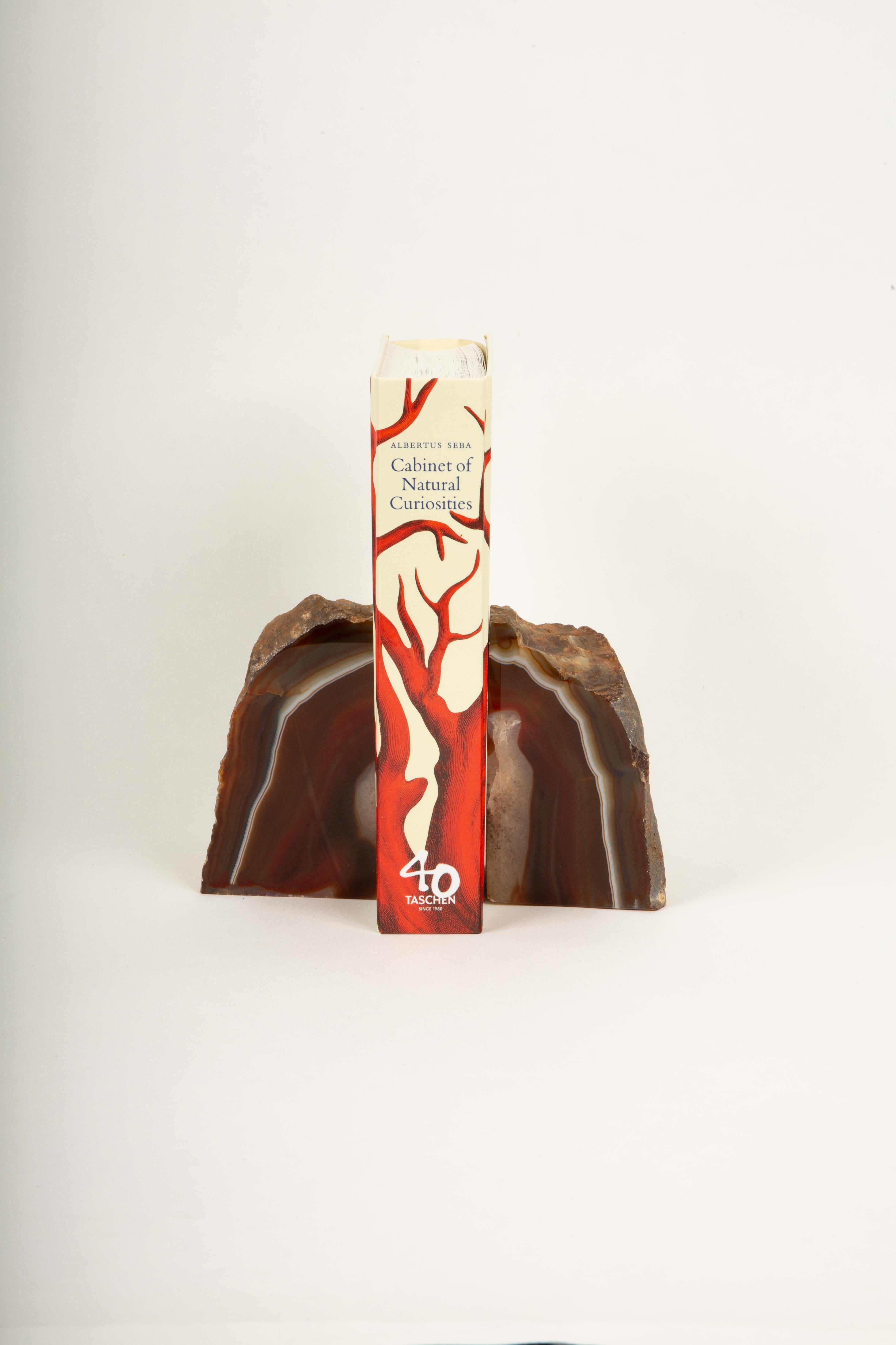 This striking pair of red agate bookends, measuring 6” x 2.5” x 5”, combines natural beauty with functionality. Each piece reveals the mesmerizing layers of agate in rich shades of red, brown, and white, showcasing intricate banding and a polished