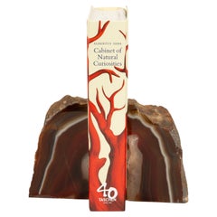 Earth’s Art: Fiery Red Agate Bookends