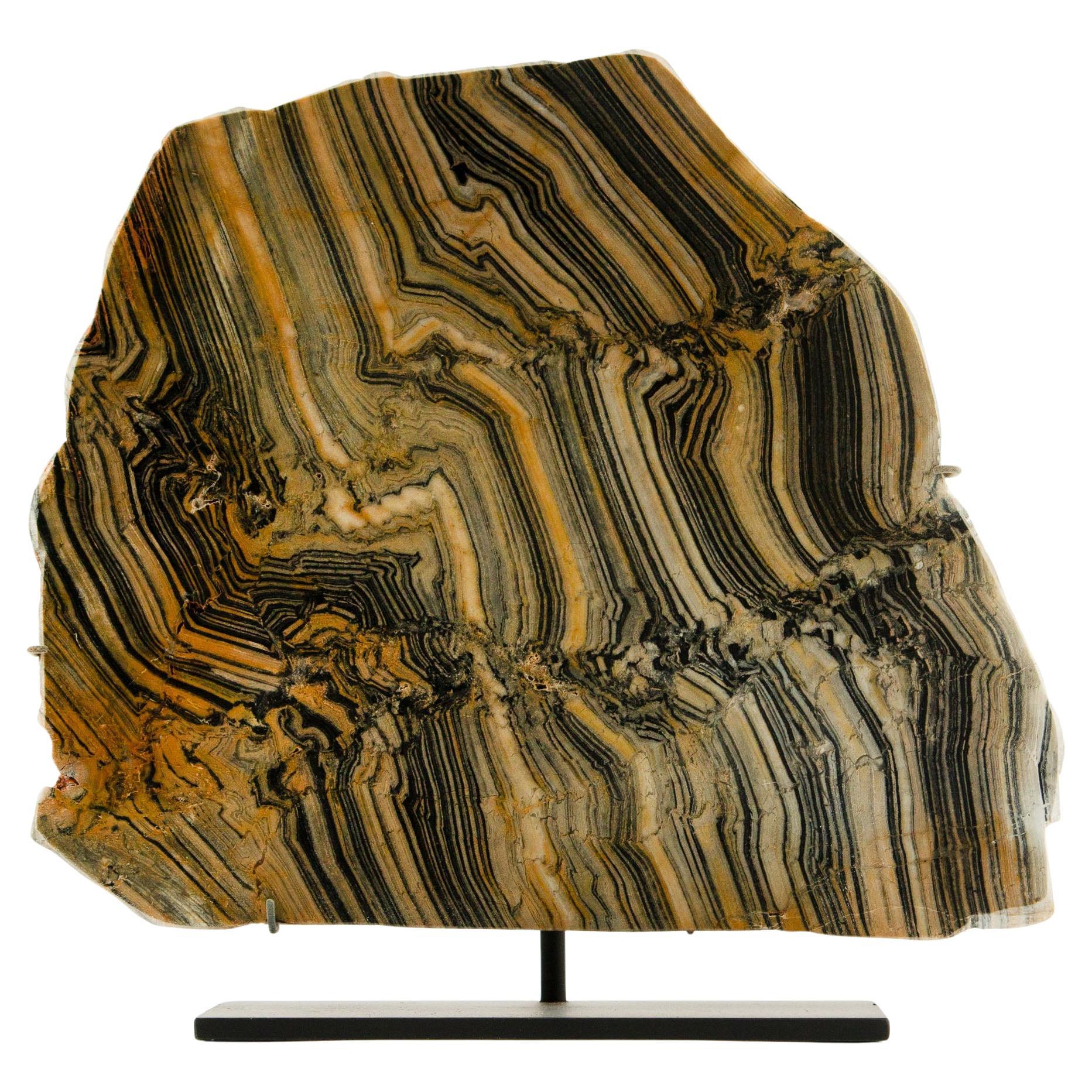 Nouveautés et articles sur mesure Natural Specimens