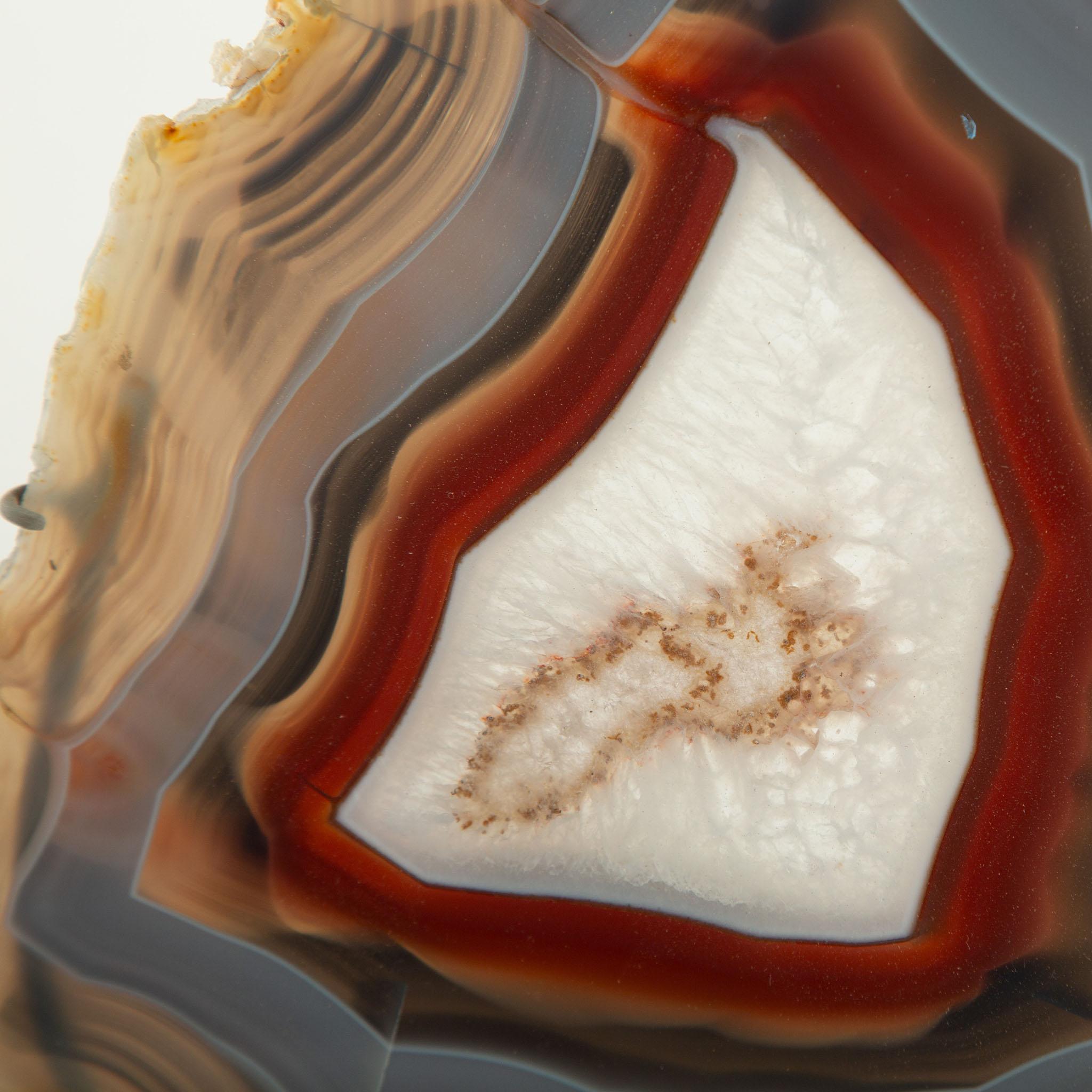 L'œil de la terre : Tranche d'agate montée Neuf - En vente à New York, NY