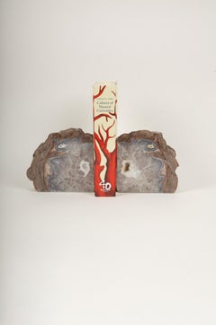 Earth’s Masterpiece: Geode Guardians for Your Books