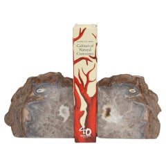 Earth’s Masterpiece: Geode Guardians for Your Books