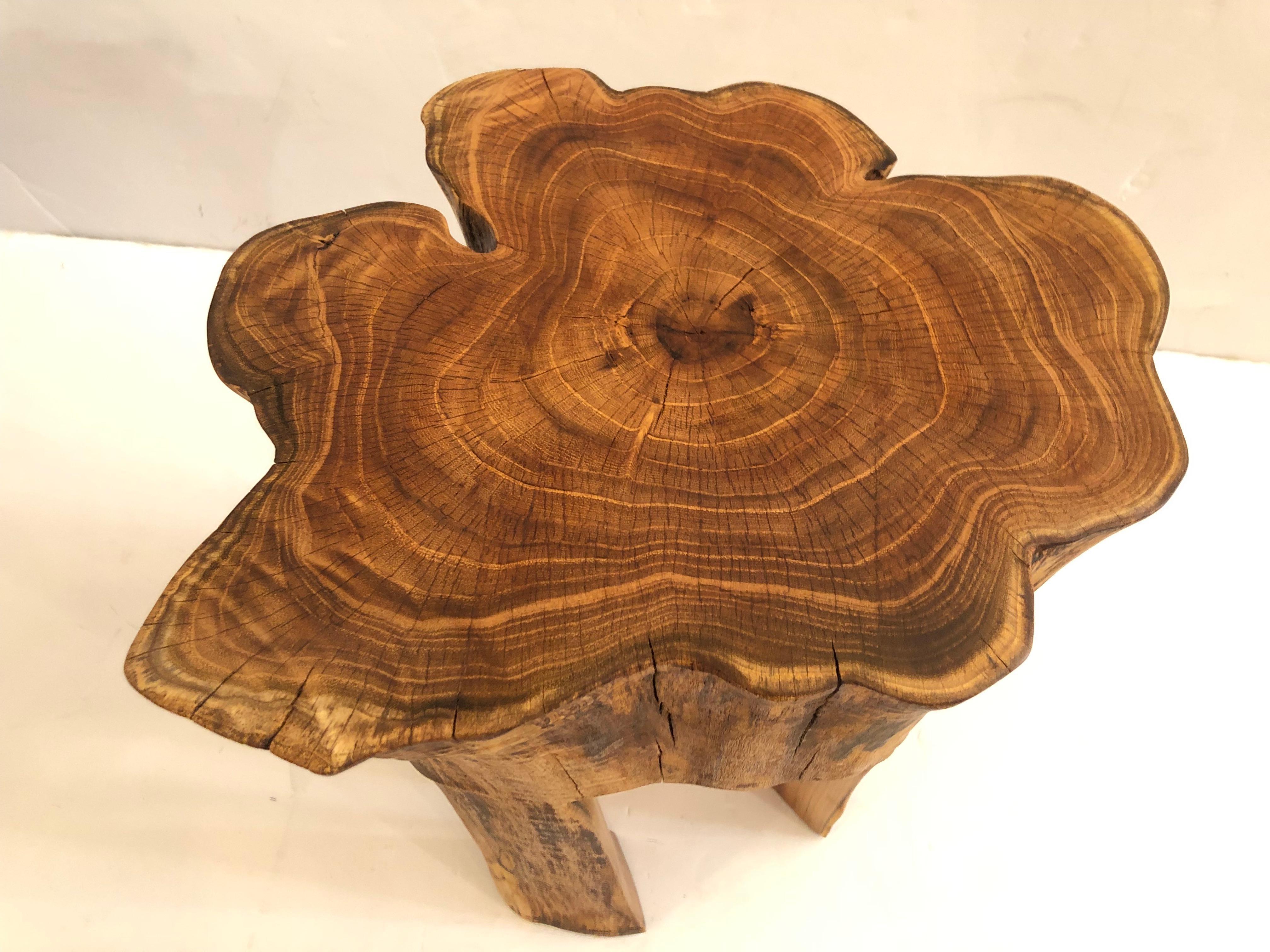 One of a kind artisan hand crafted organic modern small drinks table created from a honey locust tree having free form amoeba shaped top, gorgeous grain and earthy sculptural legs. Painstakingly designed and sanded to a fine finish by NJ artist John