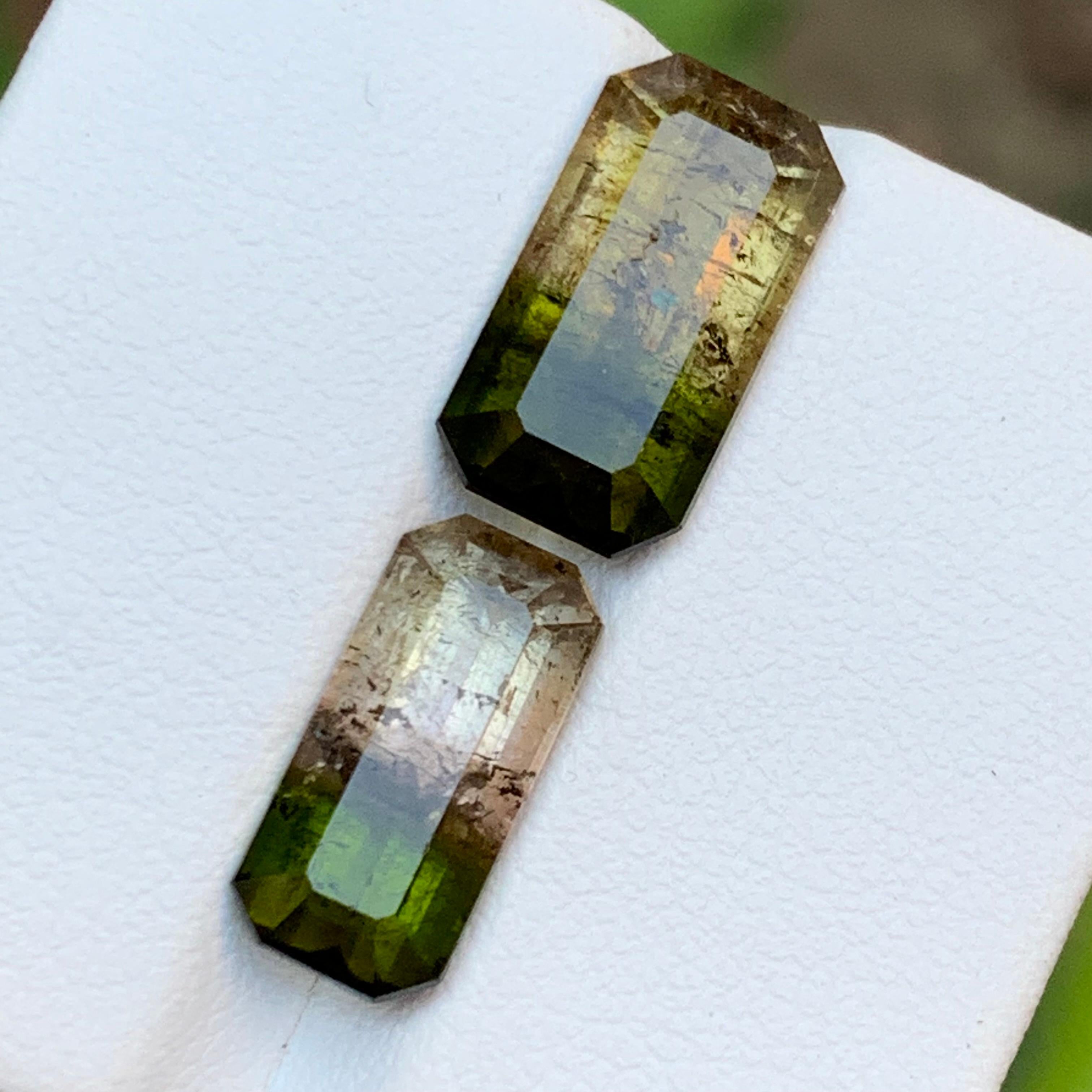 Tourmaline bicolore vert terreux et rose jaunâtre brunâtre 7.75 ct en vente 4