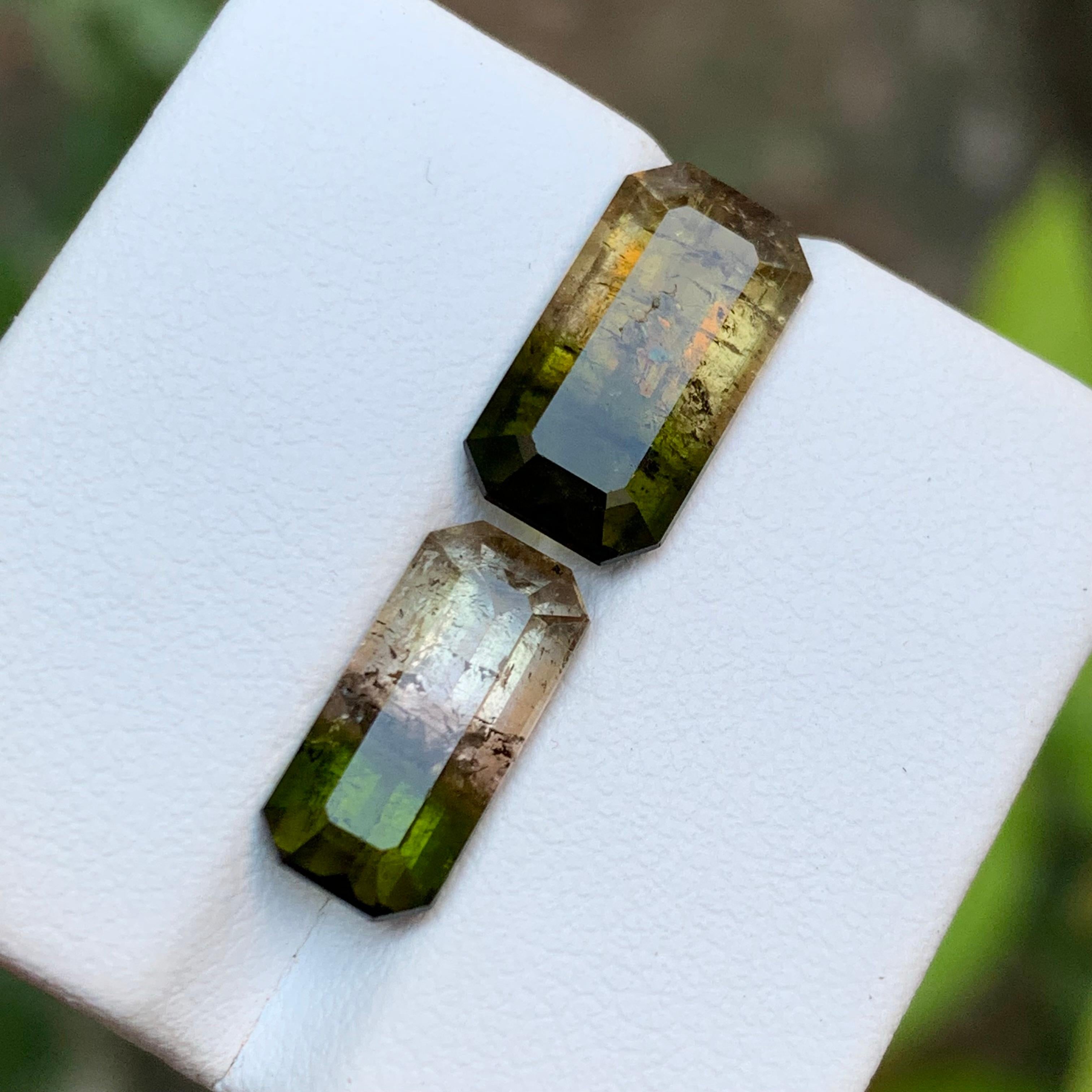 Tourmaline bicolore vert terreux et rose jaunâtre brunâtre 7.75 ct en vente 5