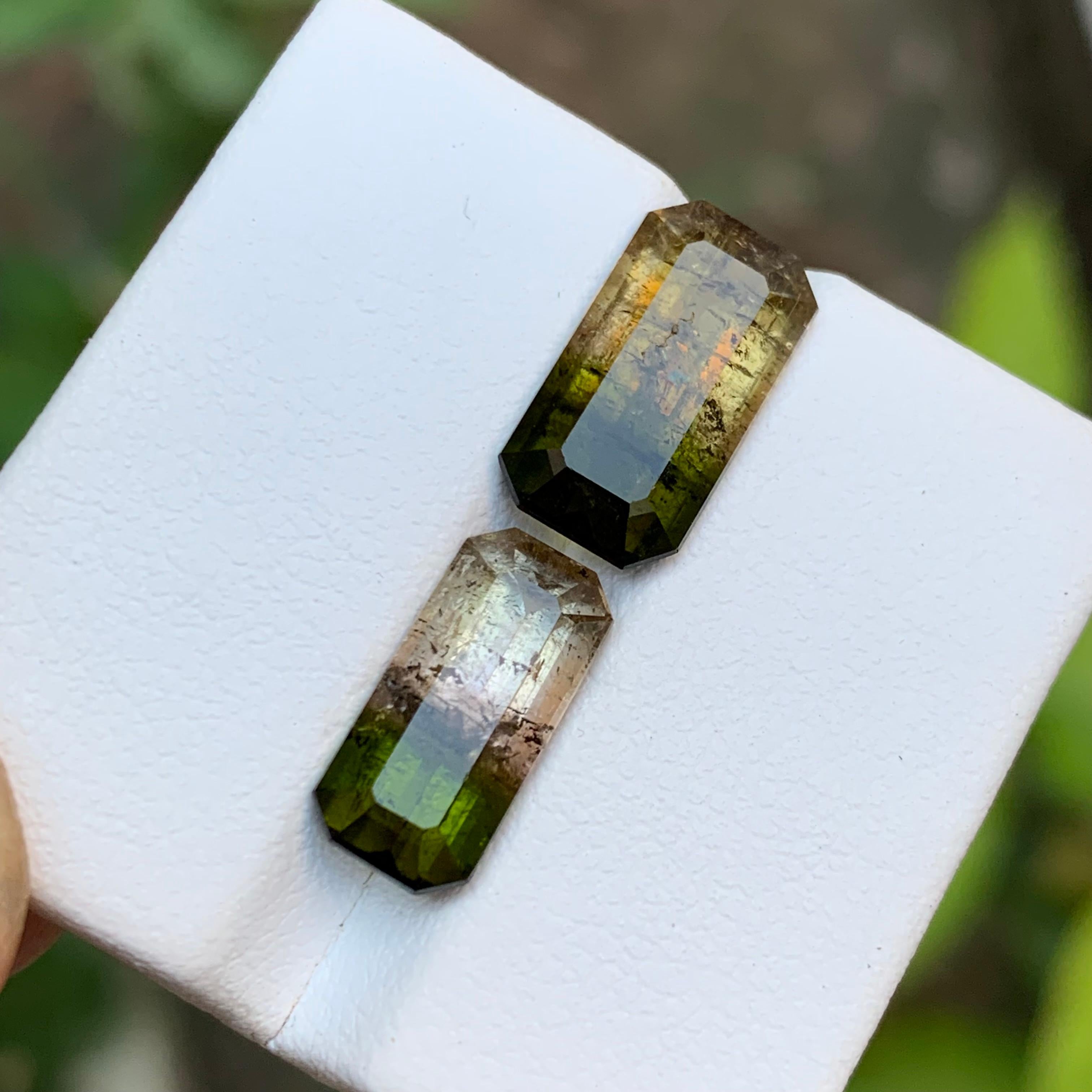 Tourmaline bicolore vert terreux et rose jaunâtre brunâtre 7.75 ct en vente 6