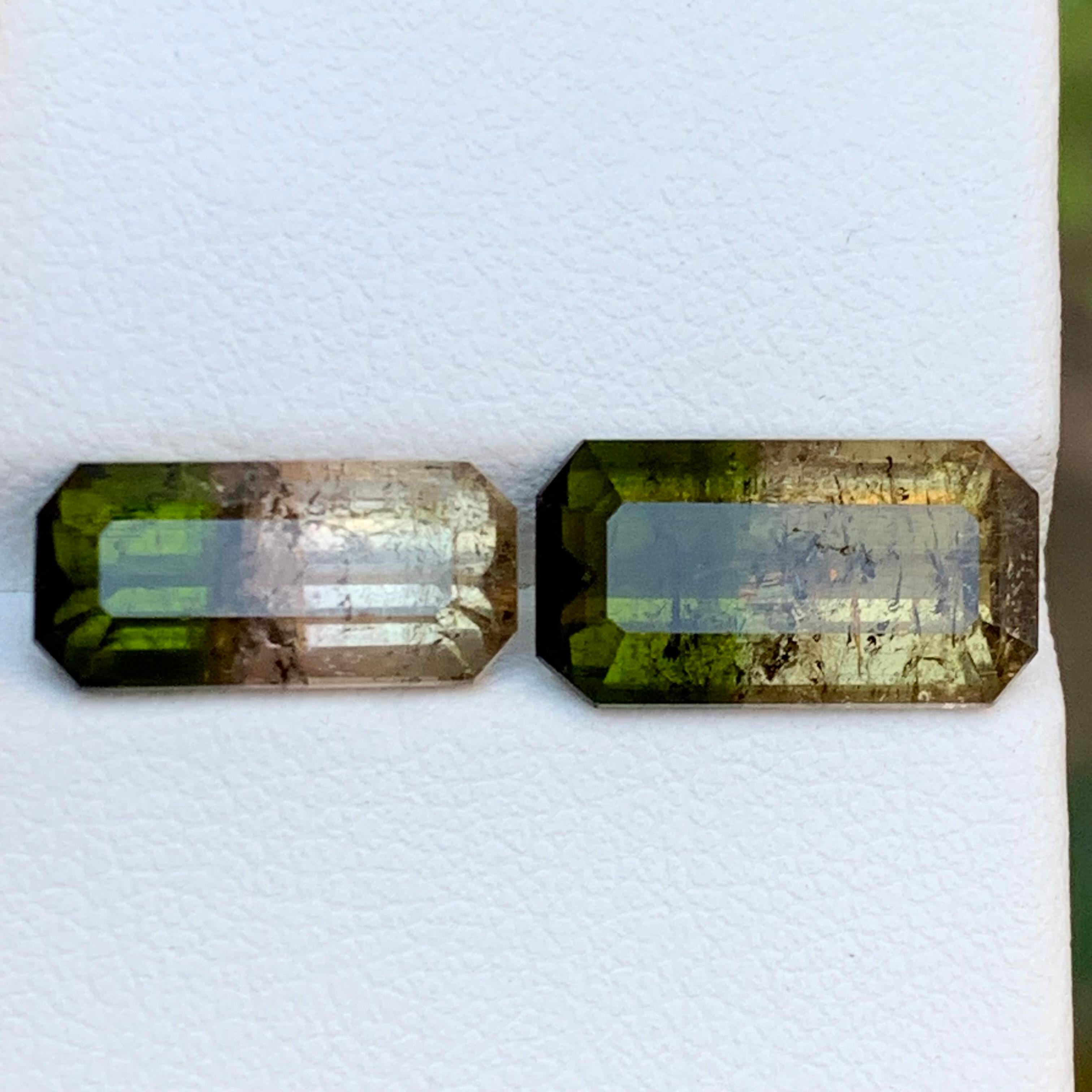 Contemporain Tourmaline bicolore vert terreux et rose jaunâtre brunâtre 7.75 ct en vente