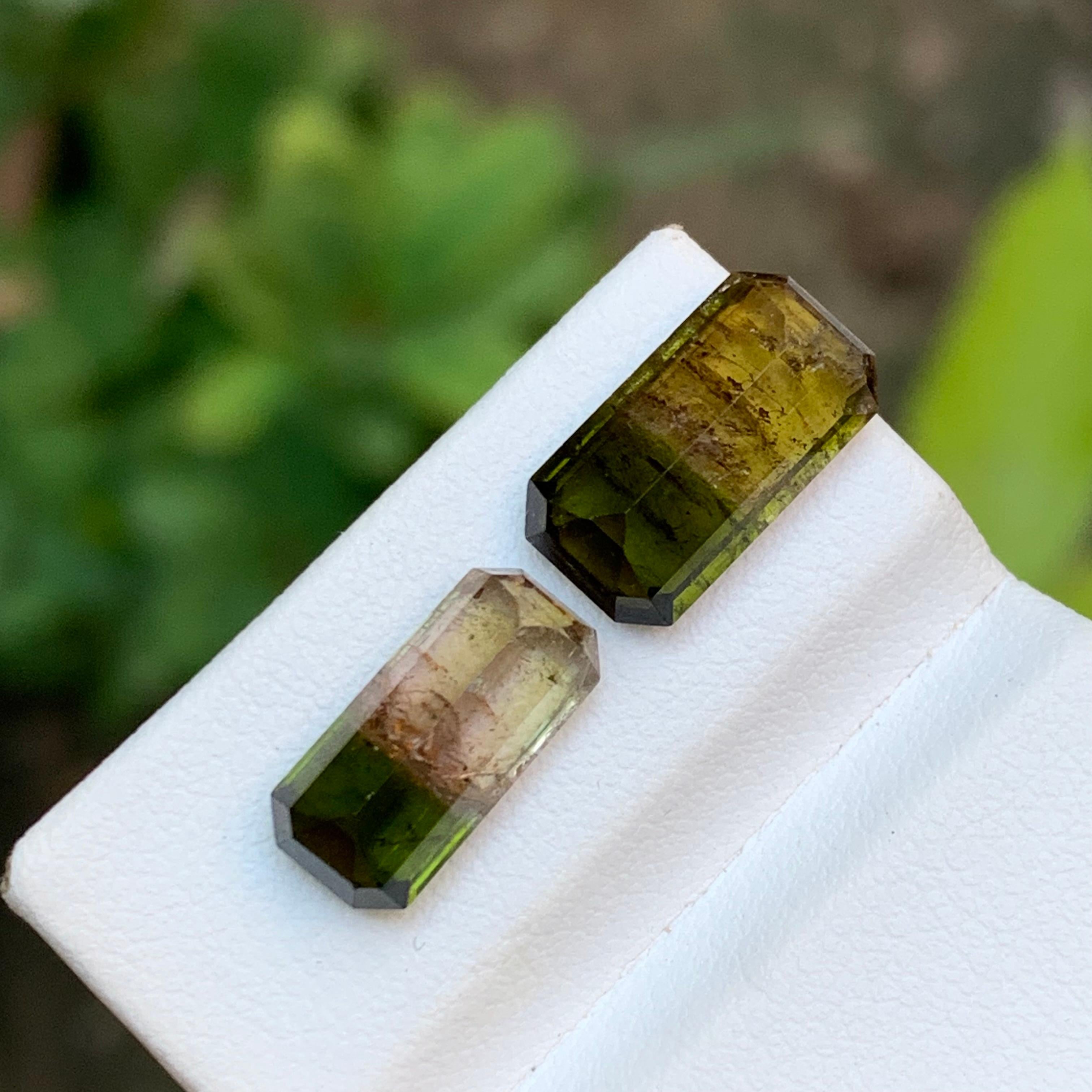 Taille émeraude Tourmaline bicolore vert terreux et rose jaunâtre brunâtre 7.75 ct en vente