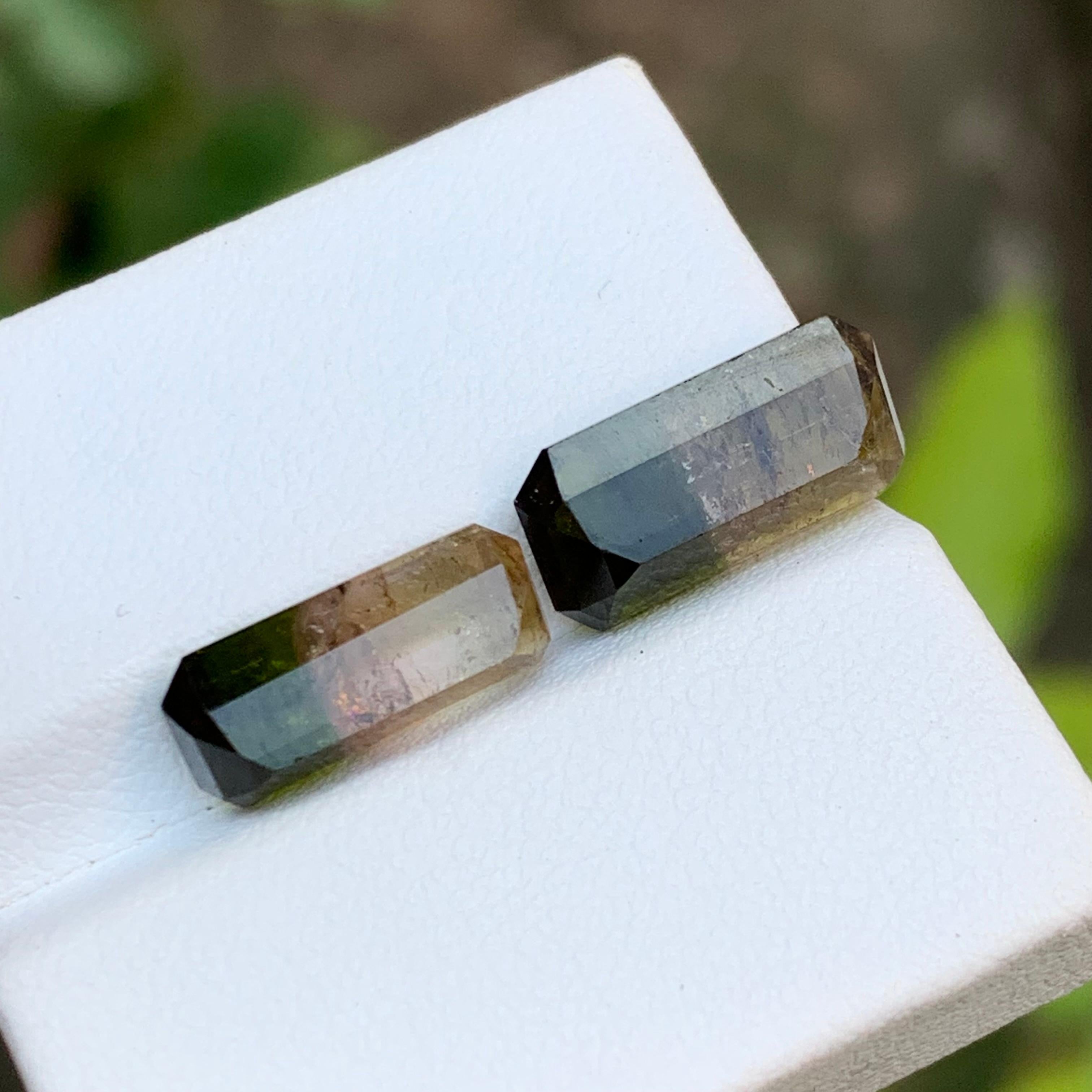 Tourmaline bicolore vert terreux et rose jaunâtre brunâtre 7.75 ct Neuf - En vente à Peshawar, PK