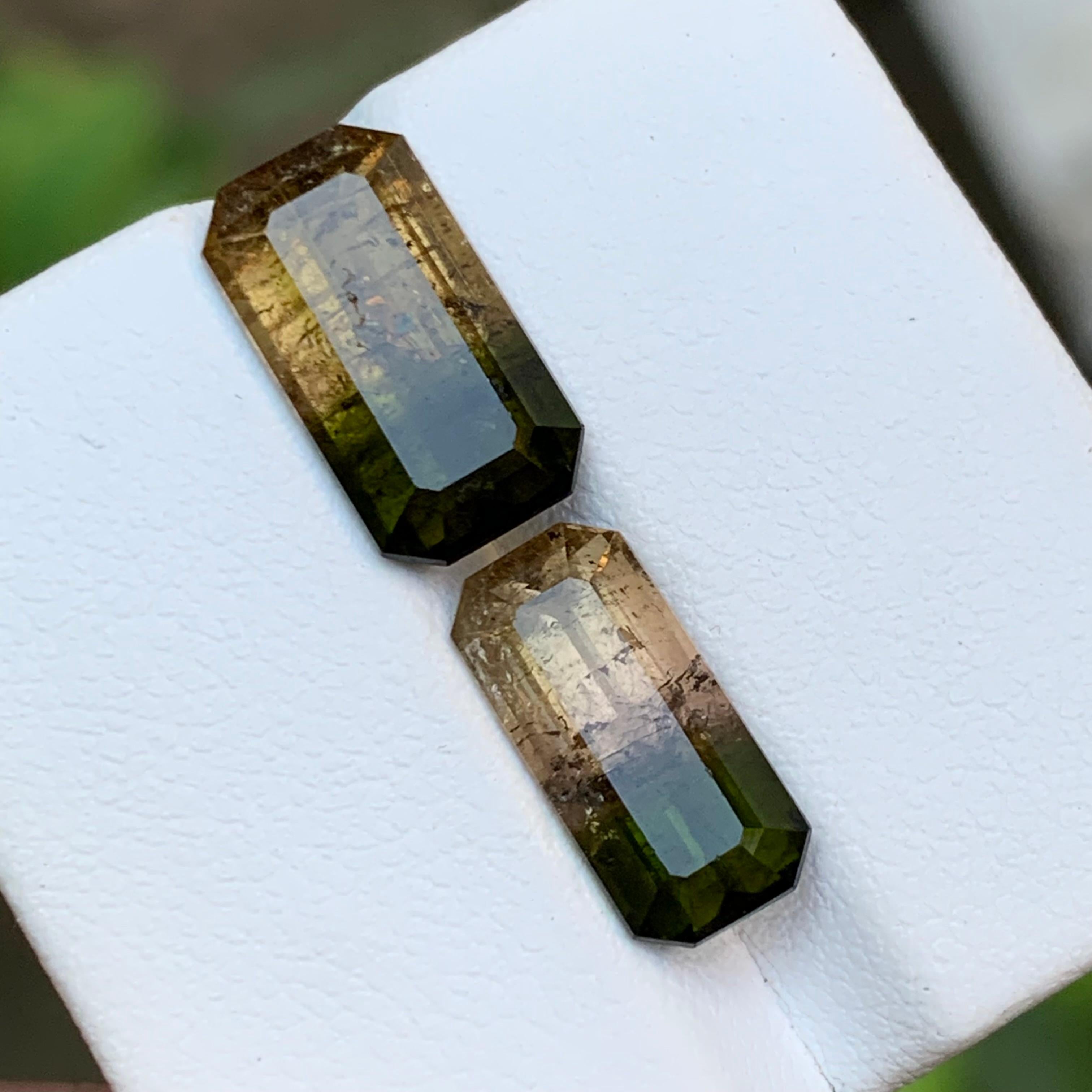 Tourmaline bicolore vert terreux et rose jaunâtre brunâtre 7.75 ct Unisexe en vente