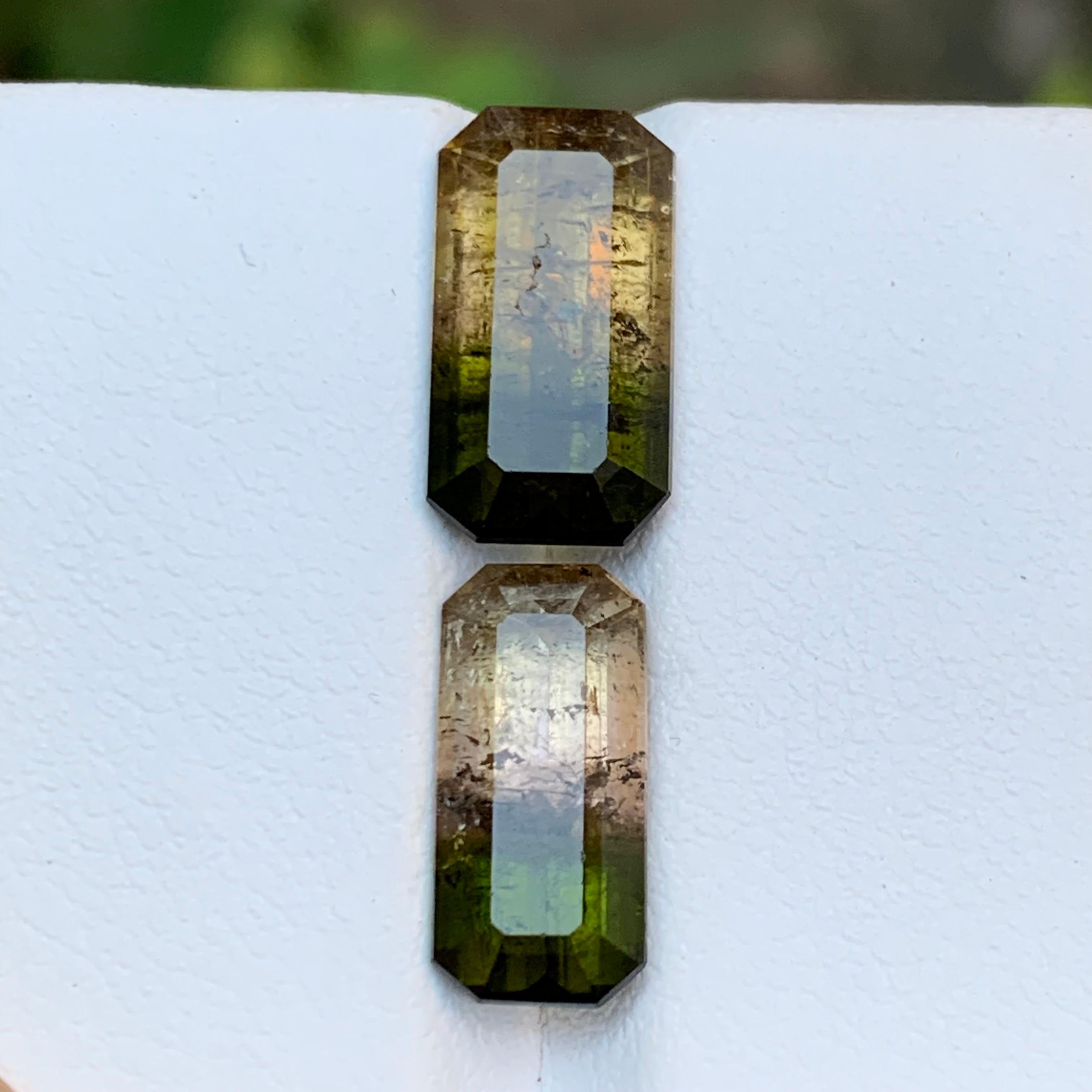 Tourmaline bicolore vert terreux et rose jaunâtre brunâtre 7.75 ct en vente 1