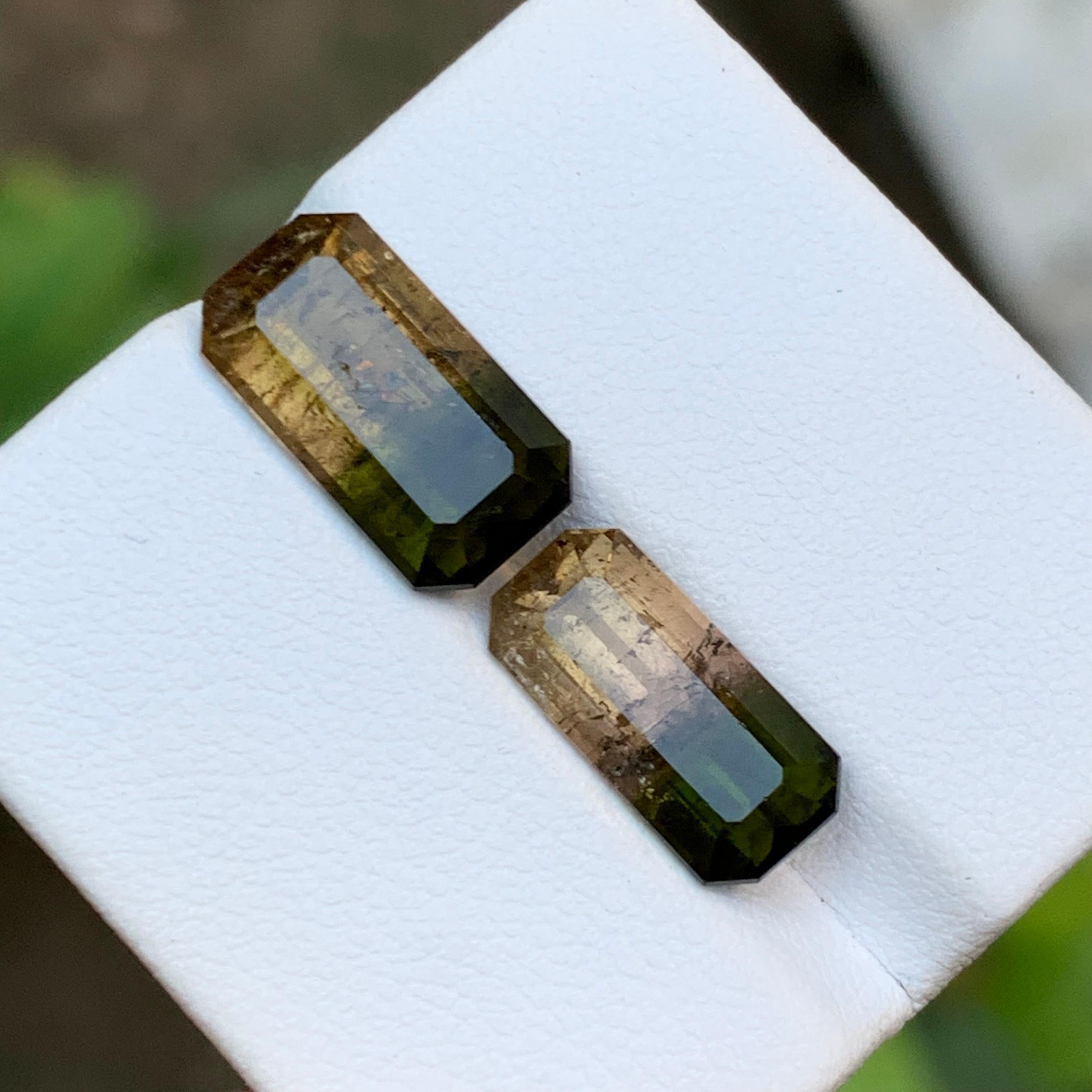 Tourmaline bicolore vert terreux et rose jaunâtre brunâtre 7.75 ct en vente 2