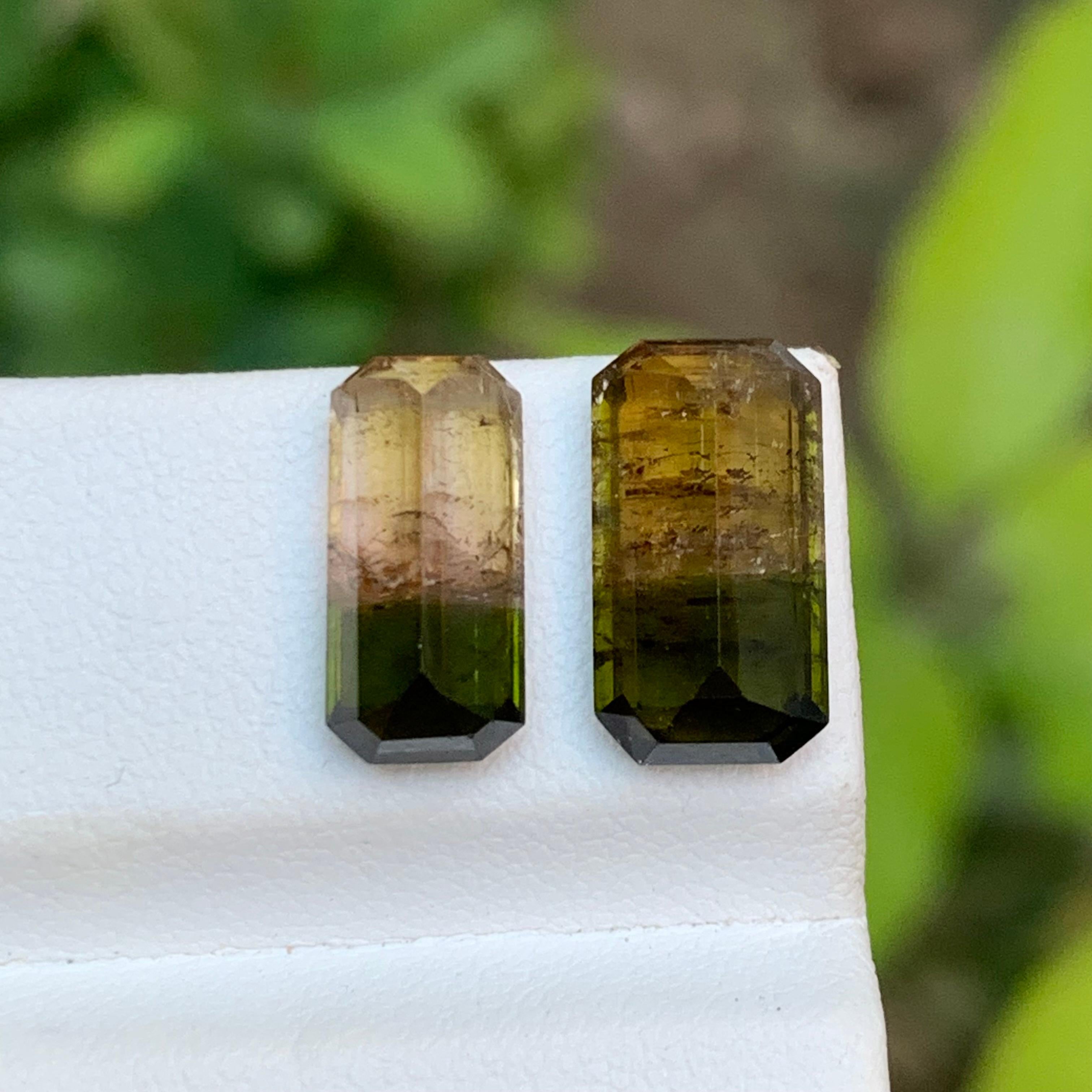 Tourmaline bicolore vert terreux et rose jaunâtre brunâtre 7.75 ct en vente 3