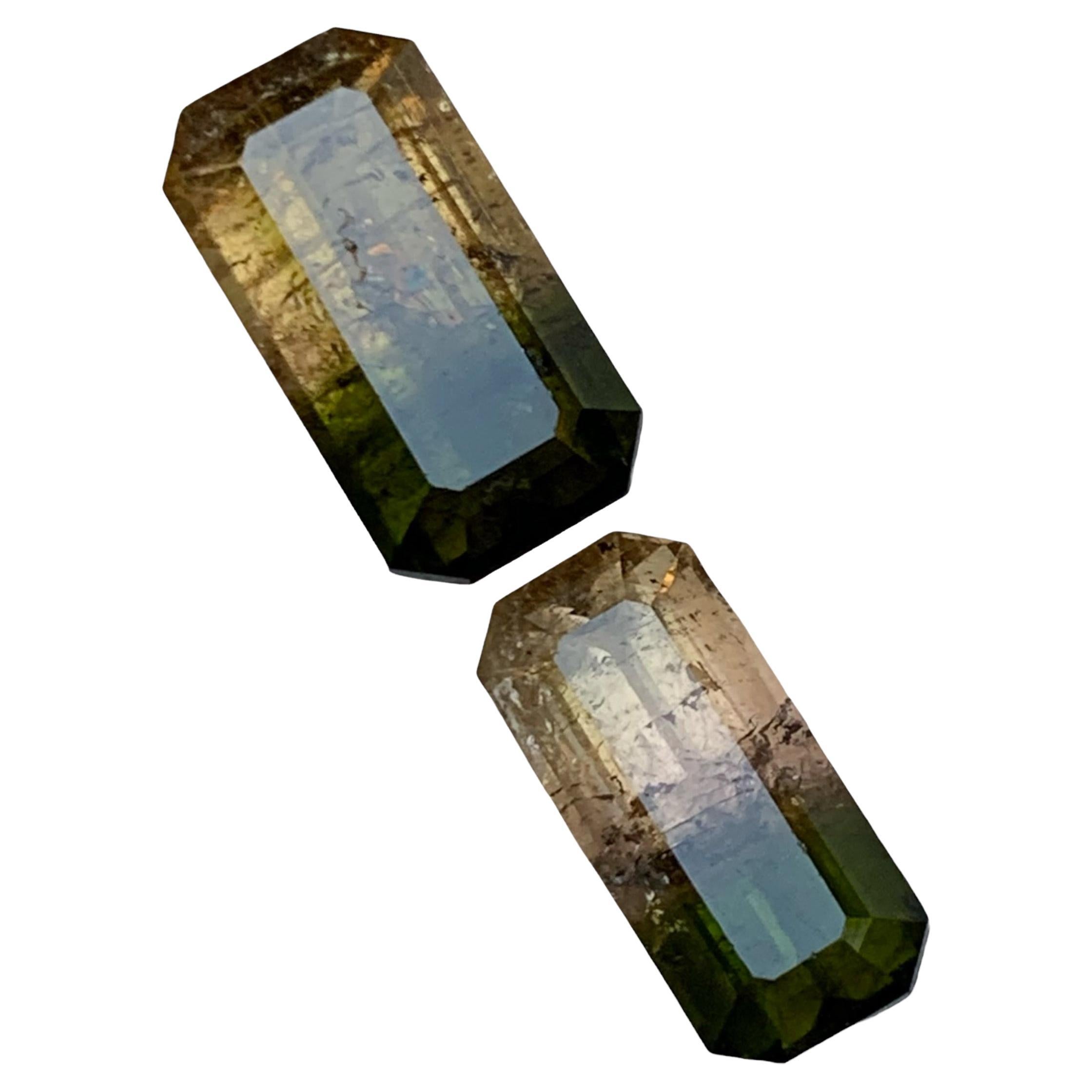 Tourmaline bicolore vert terreux et rose jaunâtre brunâtre 7.75 ct en vente