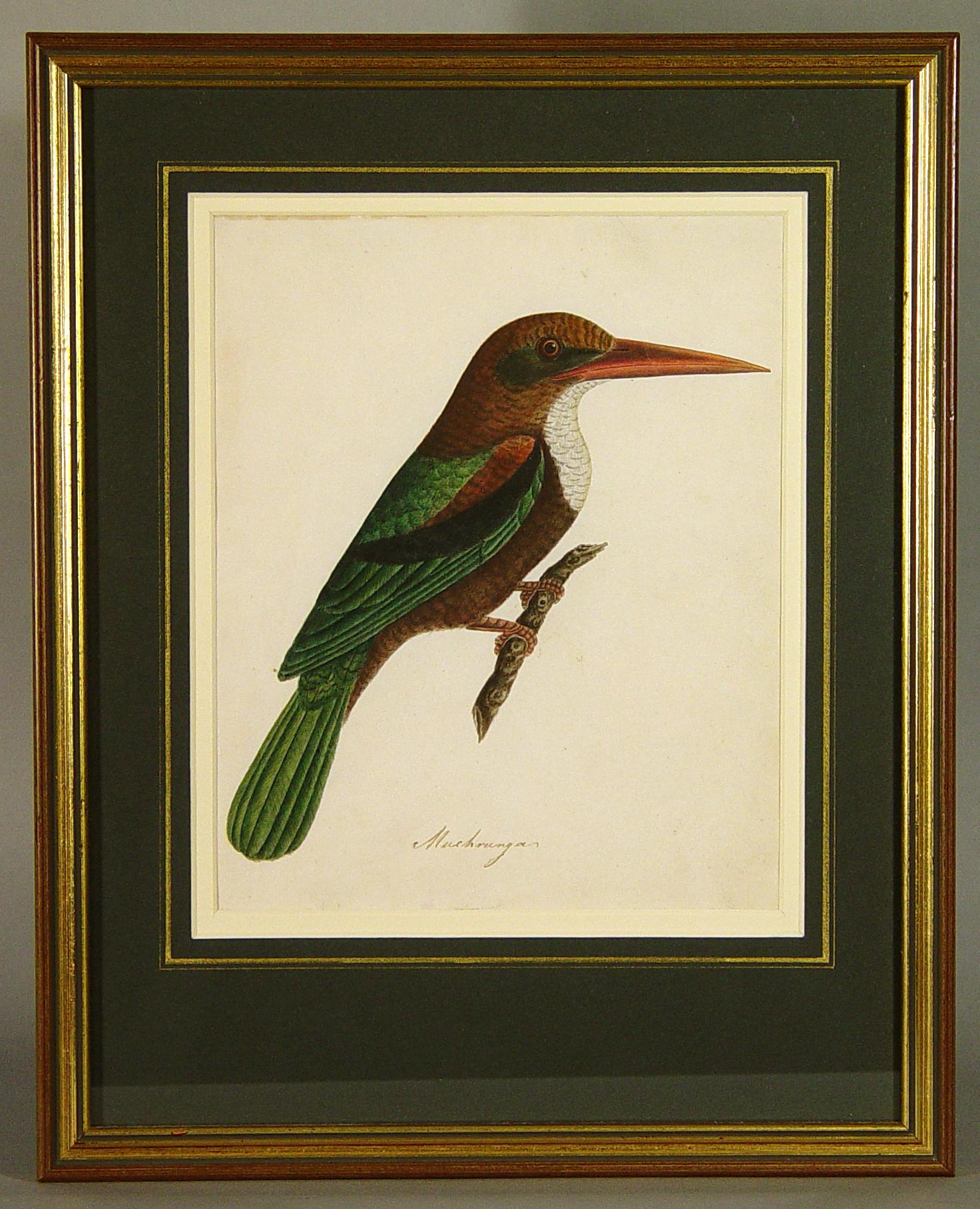 East India Company School pictures of the birds,
Titled Muchrunga, Kouroo, Kanra, and Bilace.
India, circa 1780-1820.

Could sell individually.

The pen, ink and watercolor studies each depict a bird perched on a branch inscribed with the titled